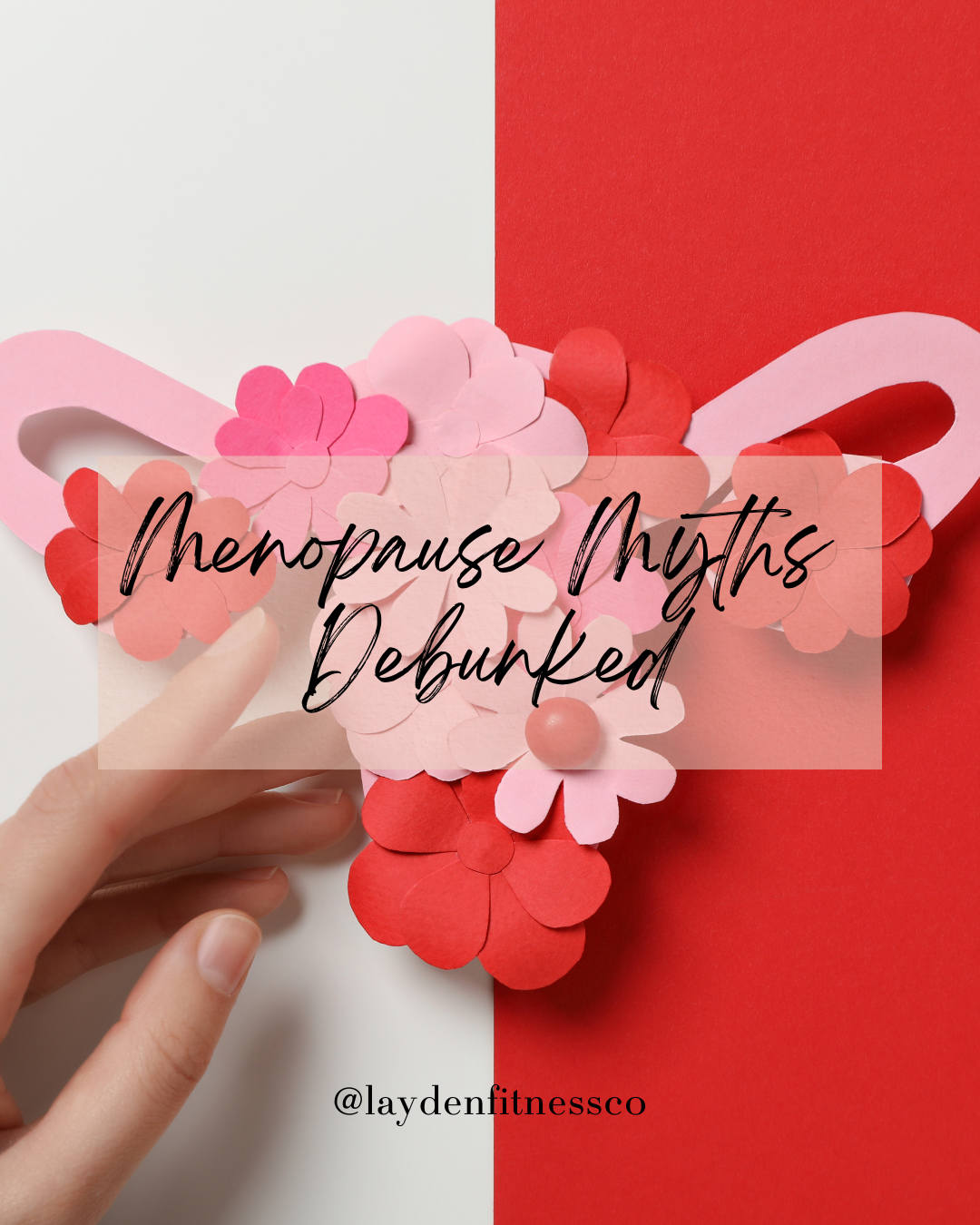 Menopause Myths: The Truth About Weight, Metabolism &amp; Energy