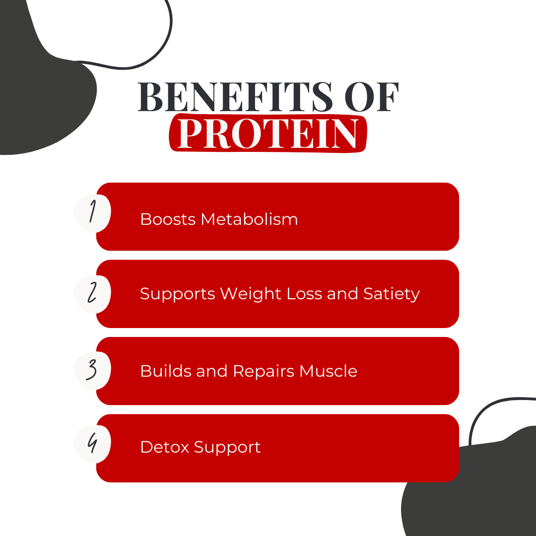 Why Do We Need Protein?