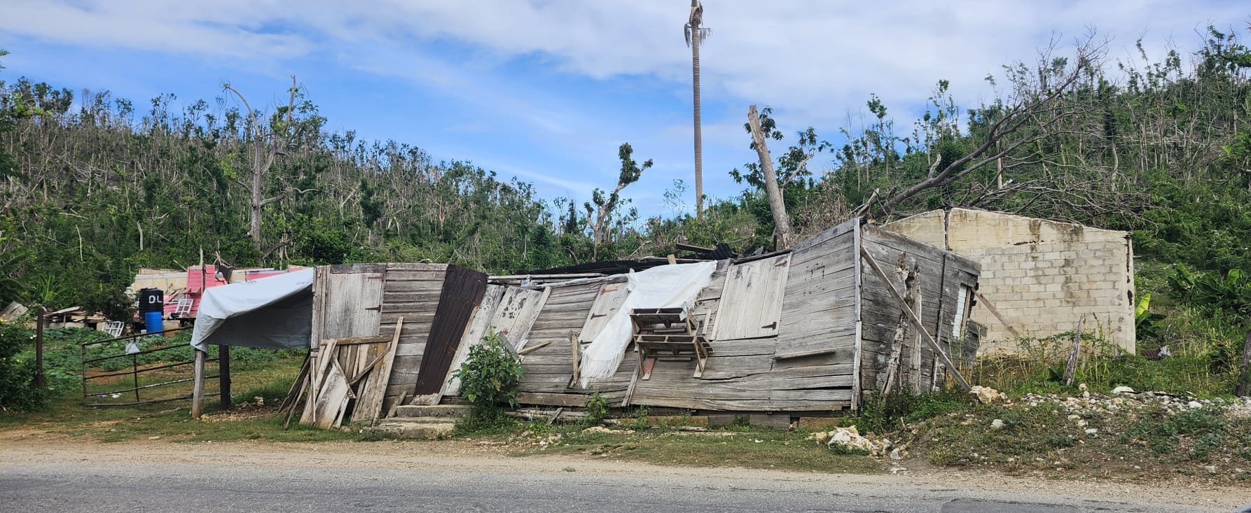 WhatsApp Image 2026-02-19 at 1.32.08 PM.jpeg