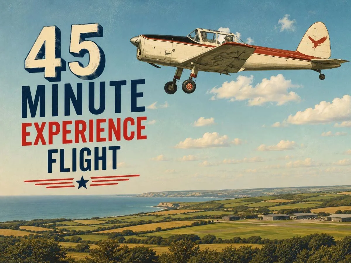 45min Chipmunk Experience Flight
