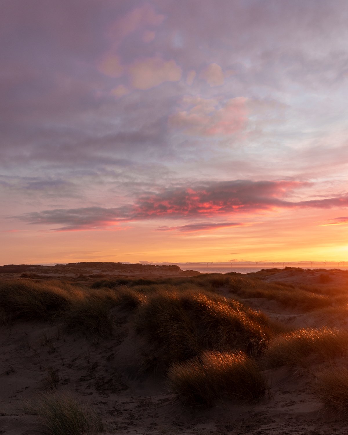 7R4A3865-Edit.jpg