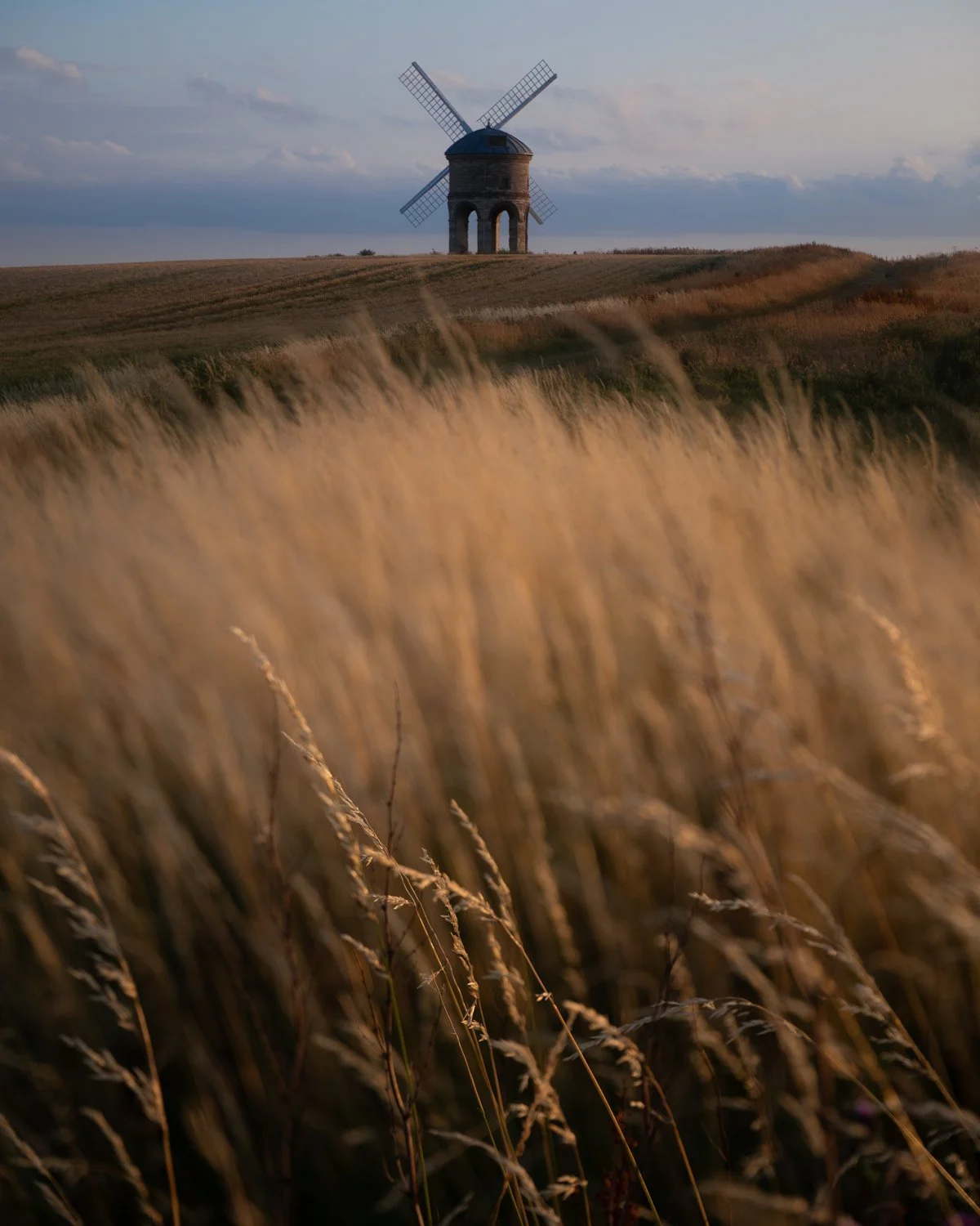 7R4A5550-Edit.jpg