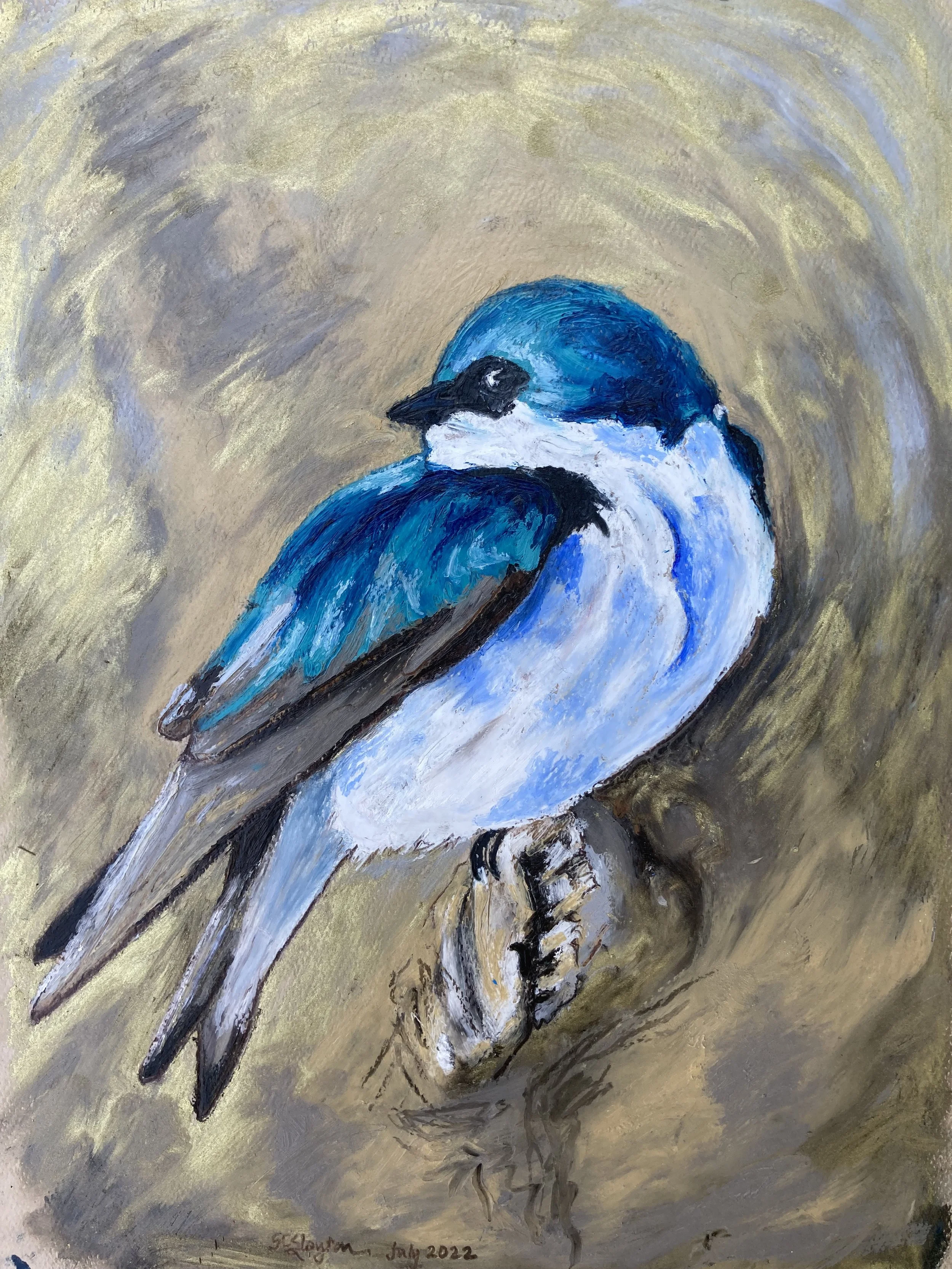 tree swallow greeting card
