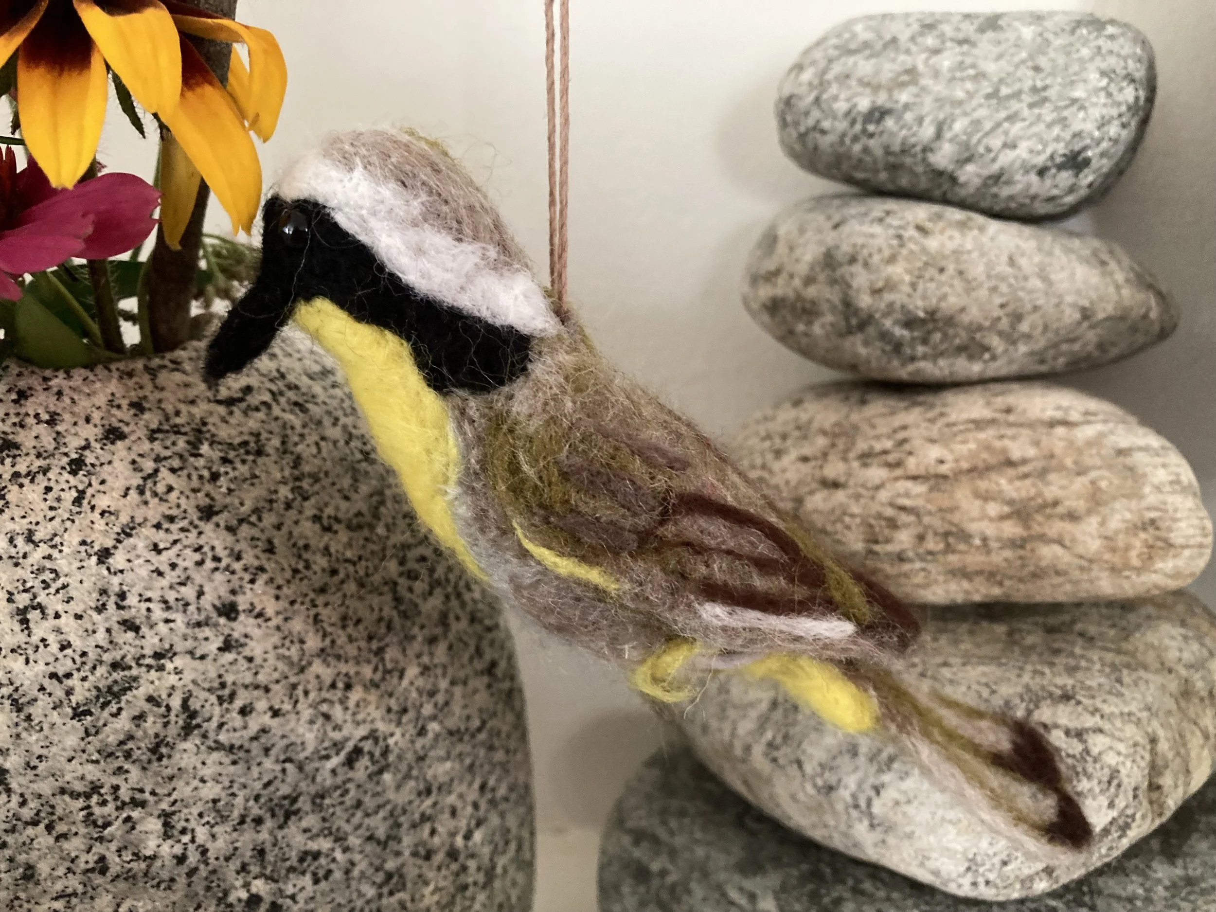 common yellowthroat
