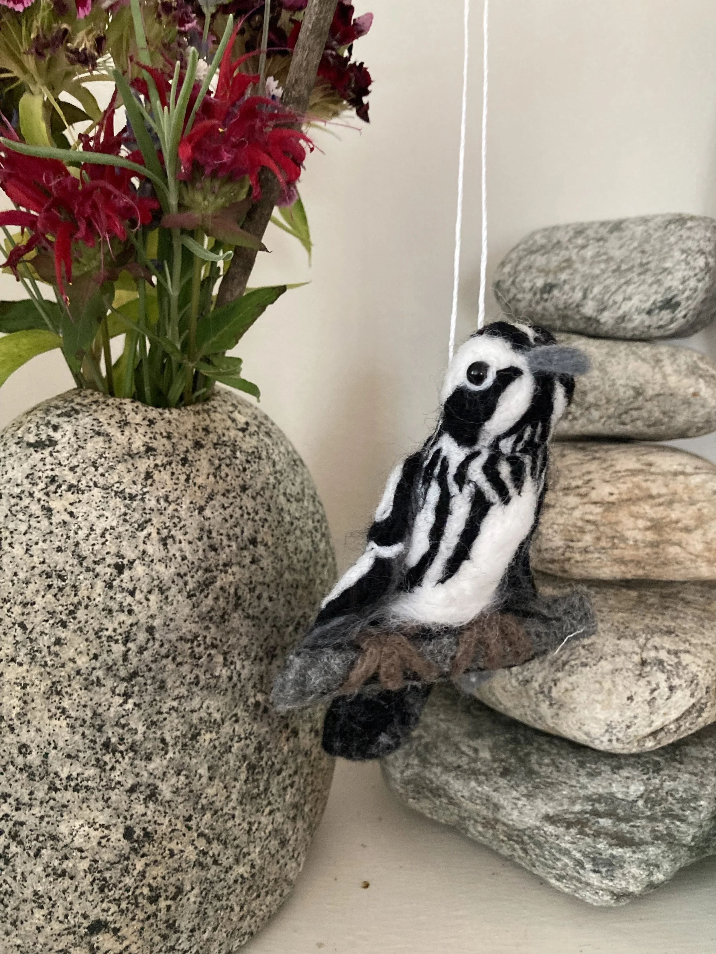 black & white warbler