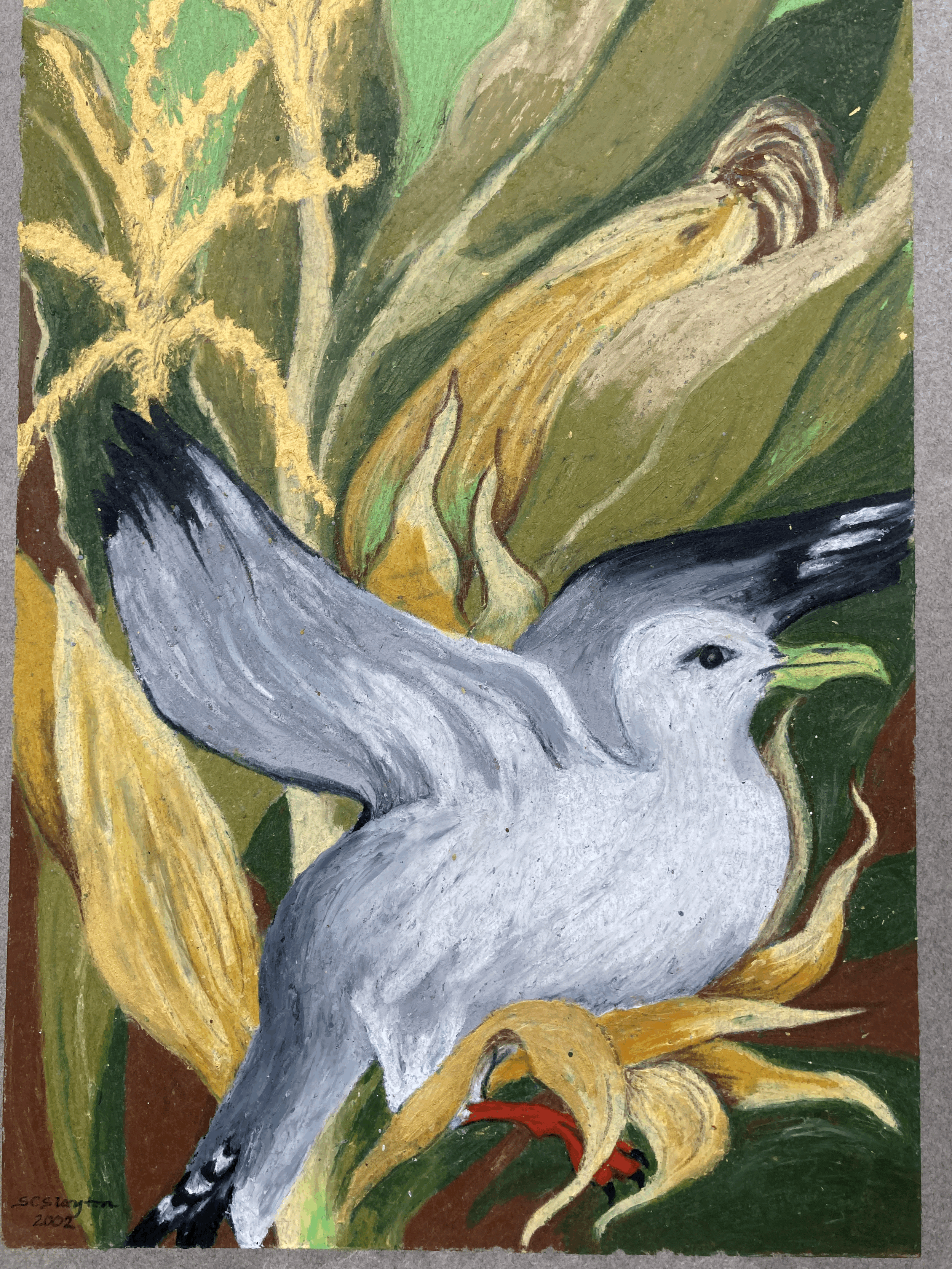 gull greeting card