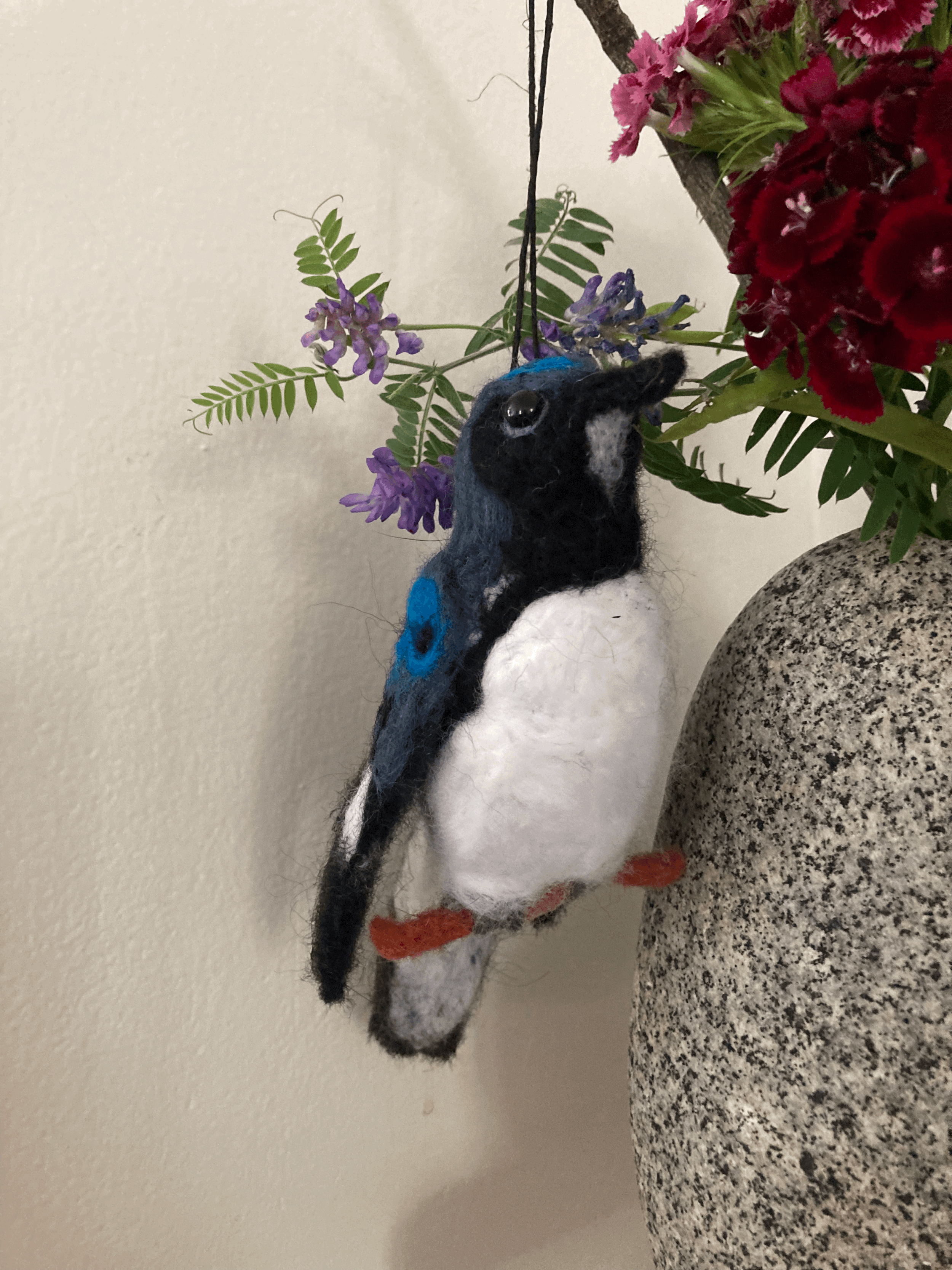black-headed blue warbler