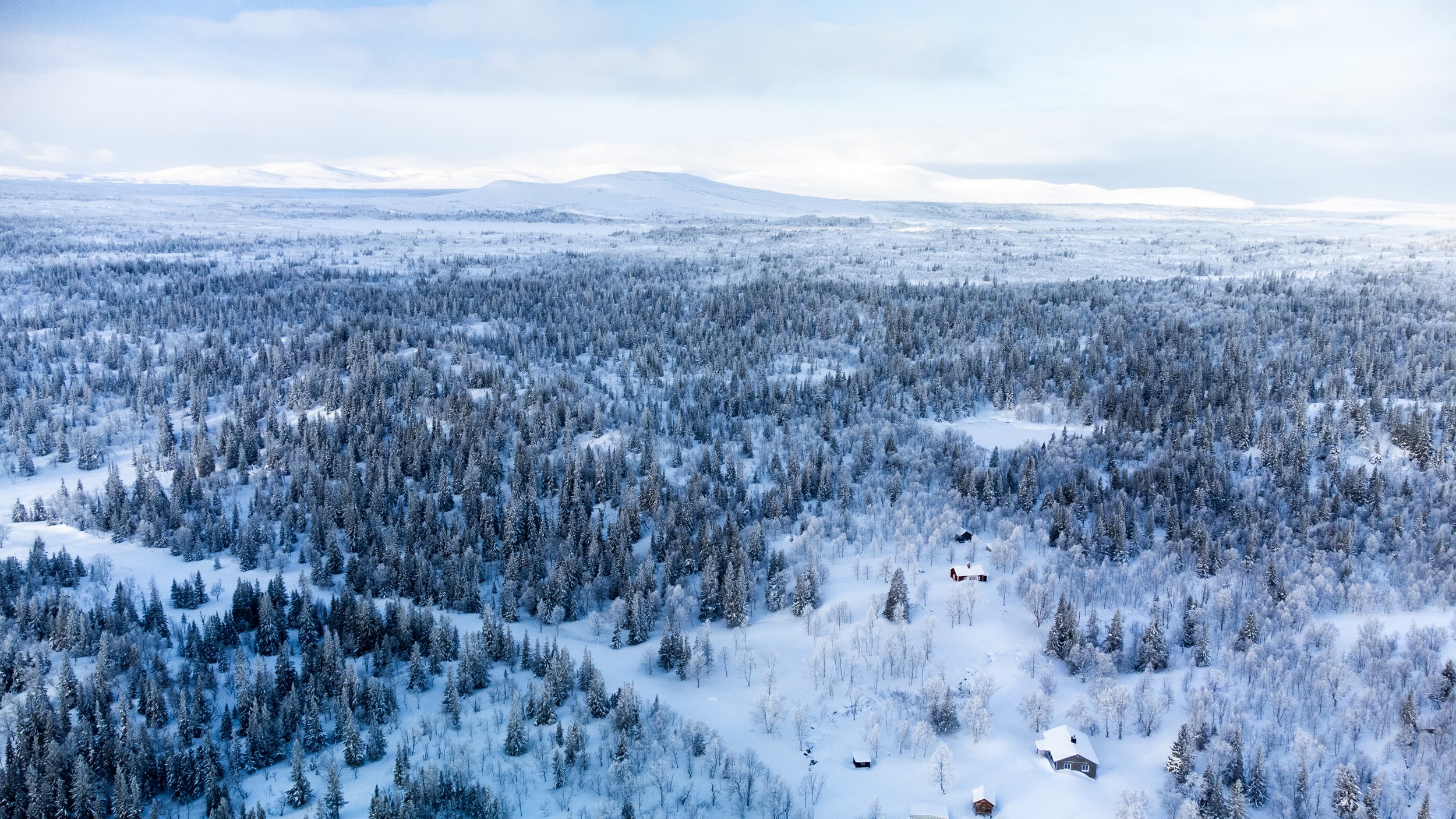 Aerial view of a snow-covered forest with scattered small houses, and mountains in the distance under a cloudy sky. Sweden dji