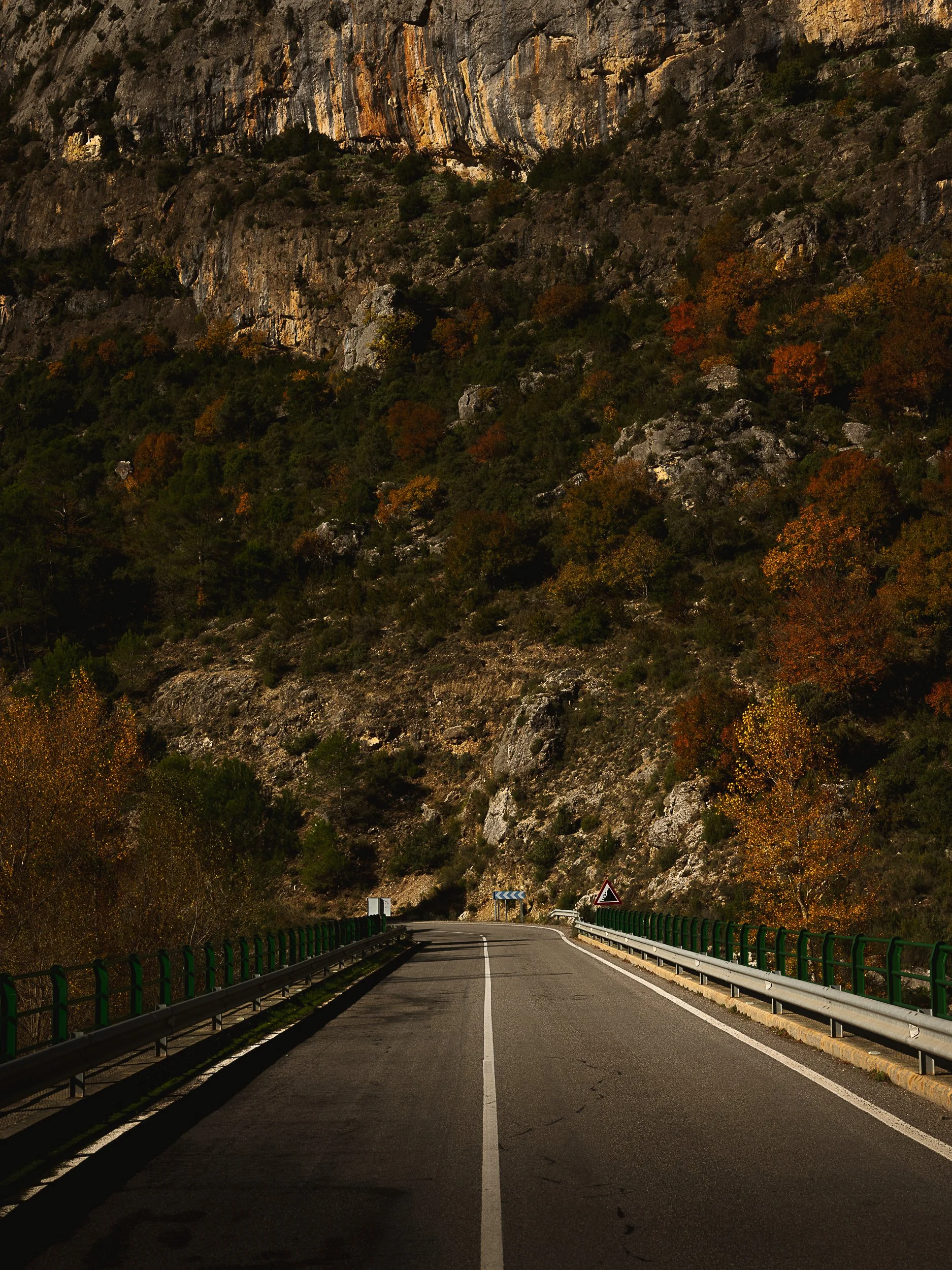 A winding mountain road with guardrails on both sides, surrounded by trees changing colors for autumn, and steep rocky cliffs in the background. Exploring the Aragon region in Spain, fuji gfx-50r
