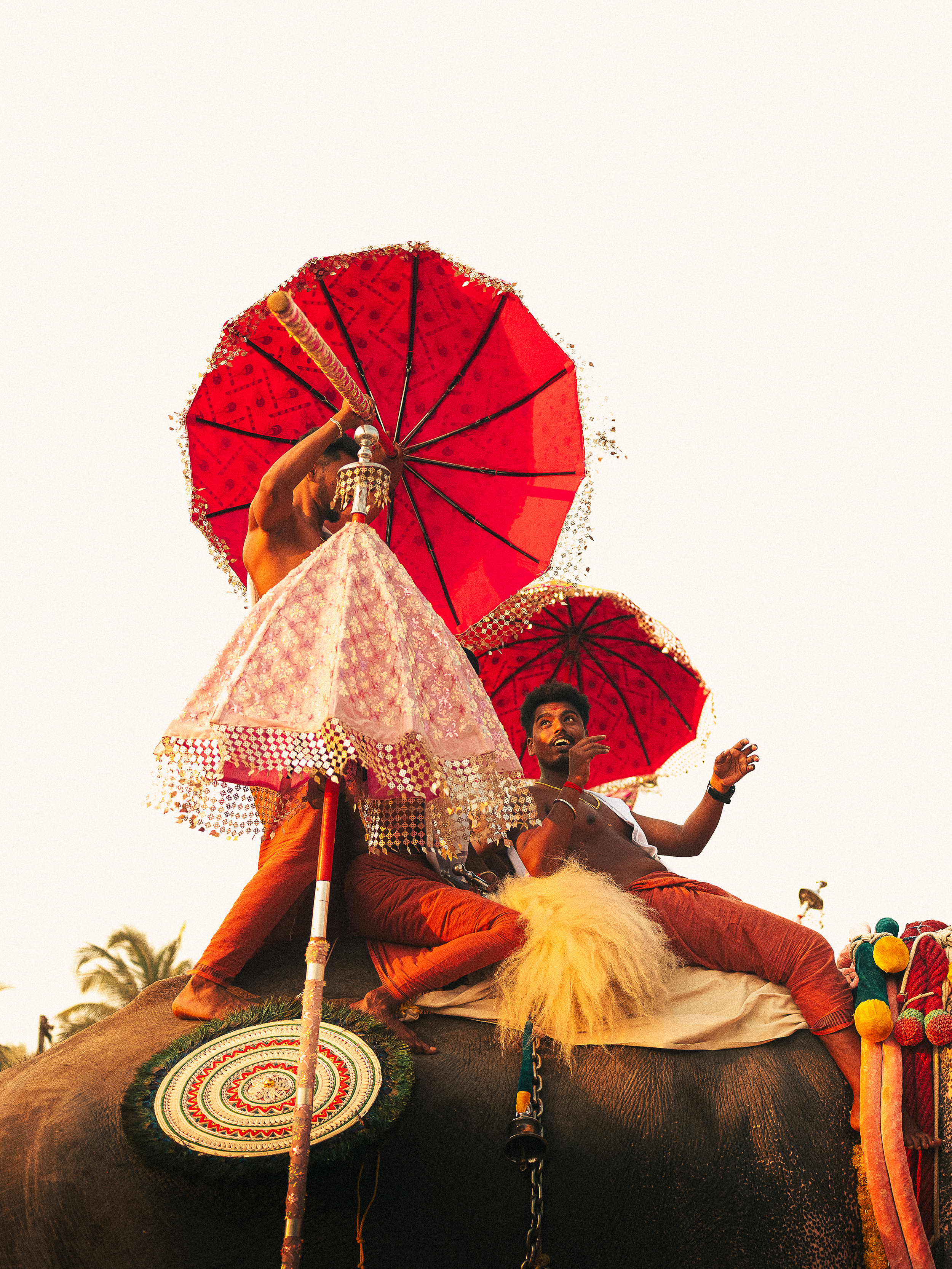 Men dressed in traditional Indian attire riding an elephant during a festival, holding colorful umbrellas. Pooram in India, Fujifilm x-h2s
