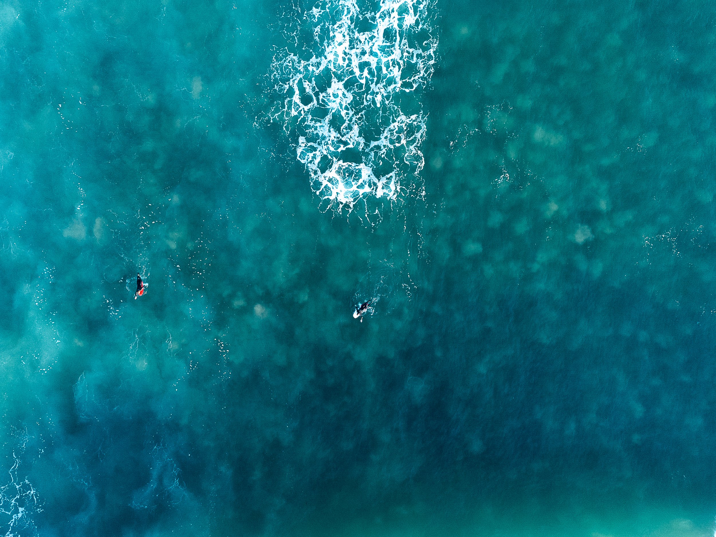 Aerial view of two surfers on surfboards in the ocean, with large white foam waves in the water. Home, top view dji