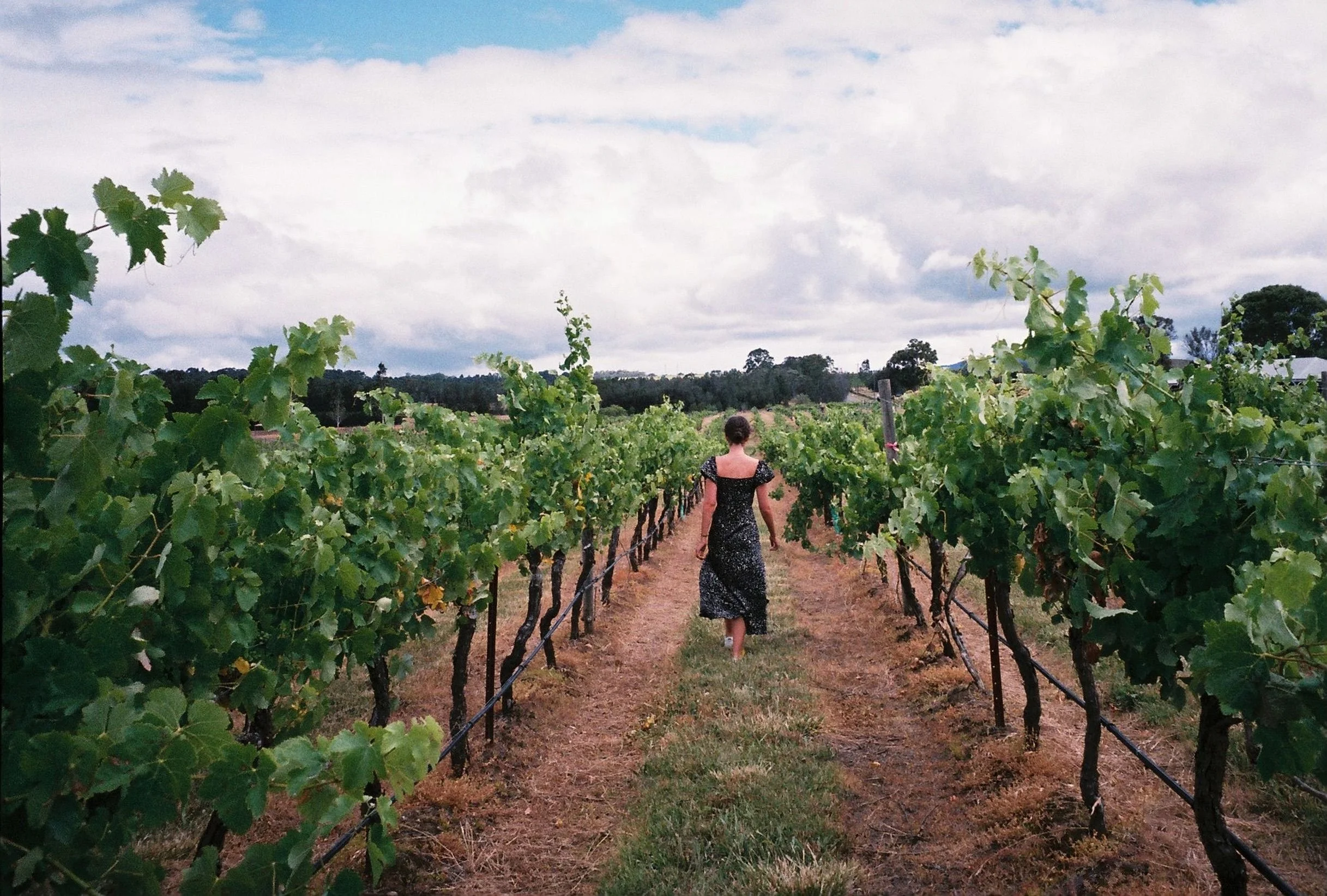 Woman in long dark green dress, walking barefoot through vineyard in Australia