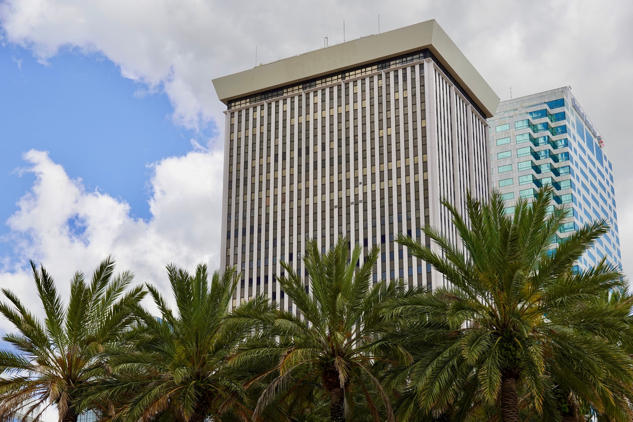 Travel Agency Tampa