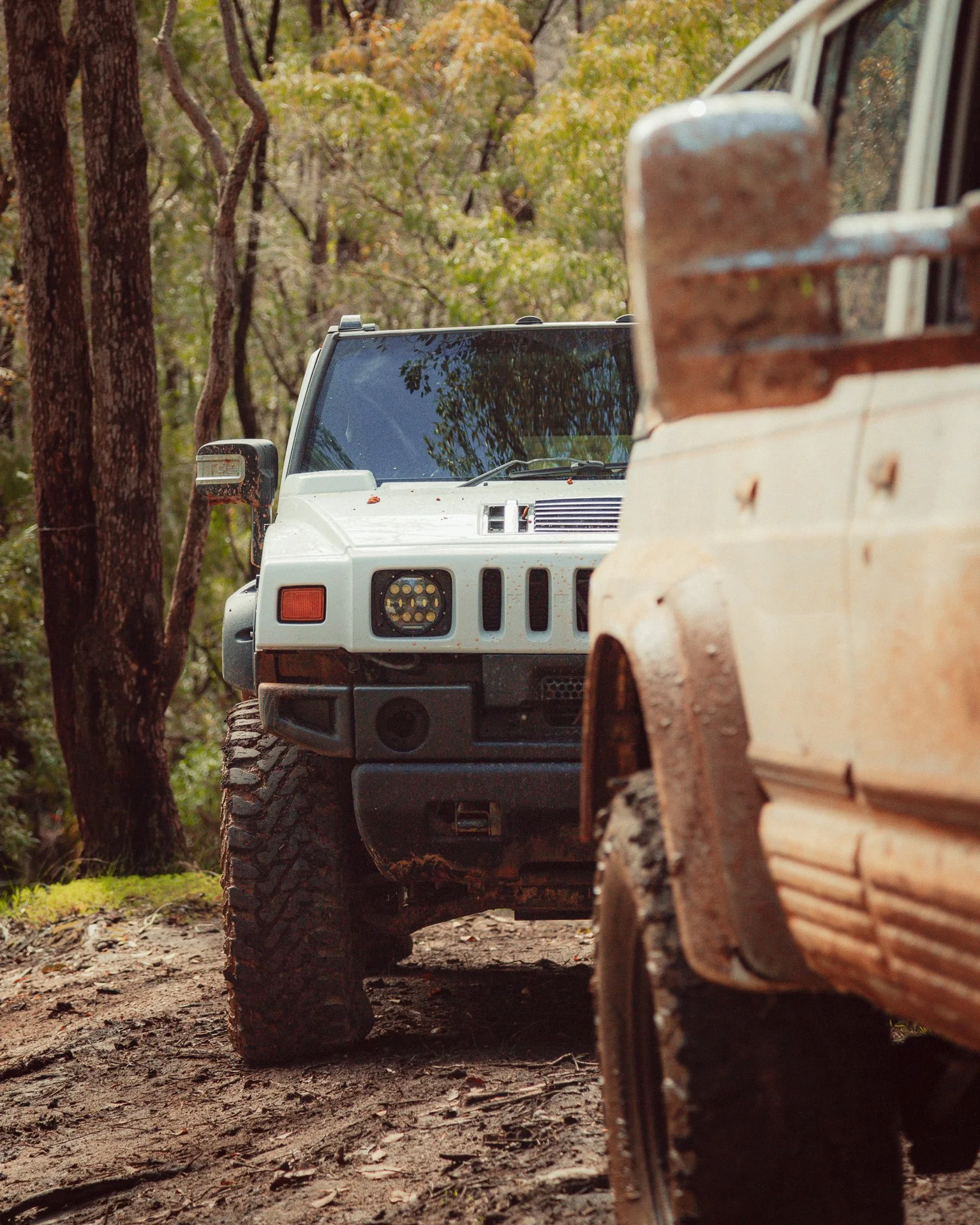 A H2 Hummer on a dirt trail in a forest, with trees and green foliage in the background.