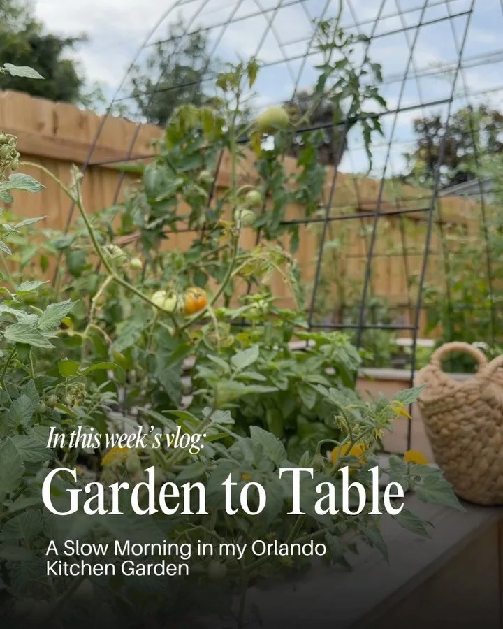 Join me for a slow morning in my Orlando kitchen garden! Today we&rsquo;re harvesting fresh basil for homemade pesto, prepping a healthy breakfast, and sharing my organic fertilizer secrets.

Tap the link in my bio to tune in!

#LisaLyons | Gardening