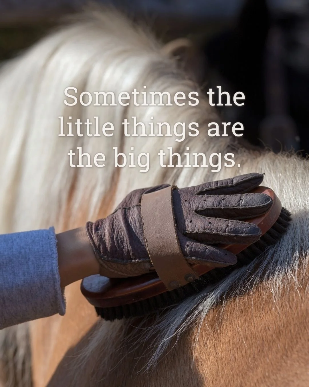 Sometimes the smallest moments are what steady us most.
A quiet brush. A warm breath.
Nothing to fix. Nothing to rush.

If today felt full, let this be enough.
Heading into the weekend, may you leave a little steadier than you arrived.

For our scree