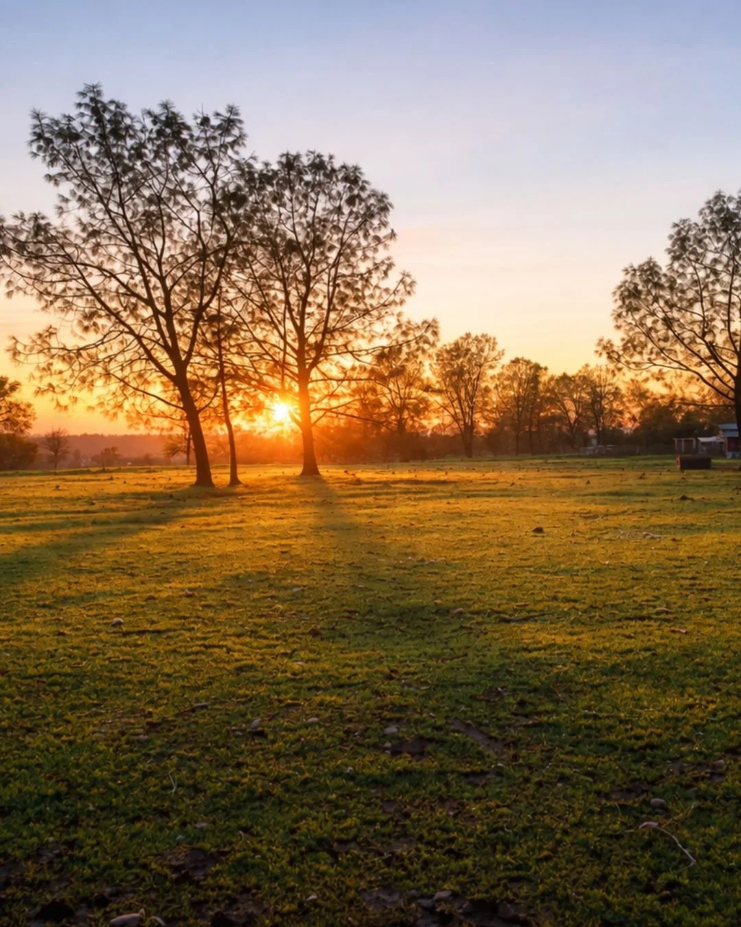 A quiet morning at HorseSpeak.

Before the day begins, the ranch has its own rhythm &mdash; horses being fed, animals greeting the morning, people arriving slowly and settling in.

During retreats, many participants step outside early and find the la