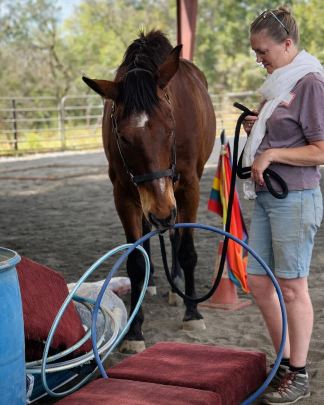 Join us this Saturday! We set things up like this and then just see what you do.
The horses don&rsquo;t rush you. They just wait and see what you come up with.

It&rsquo;s not really about the obstacles&mdash;it&rsquo;s about what you do when there i