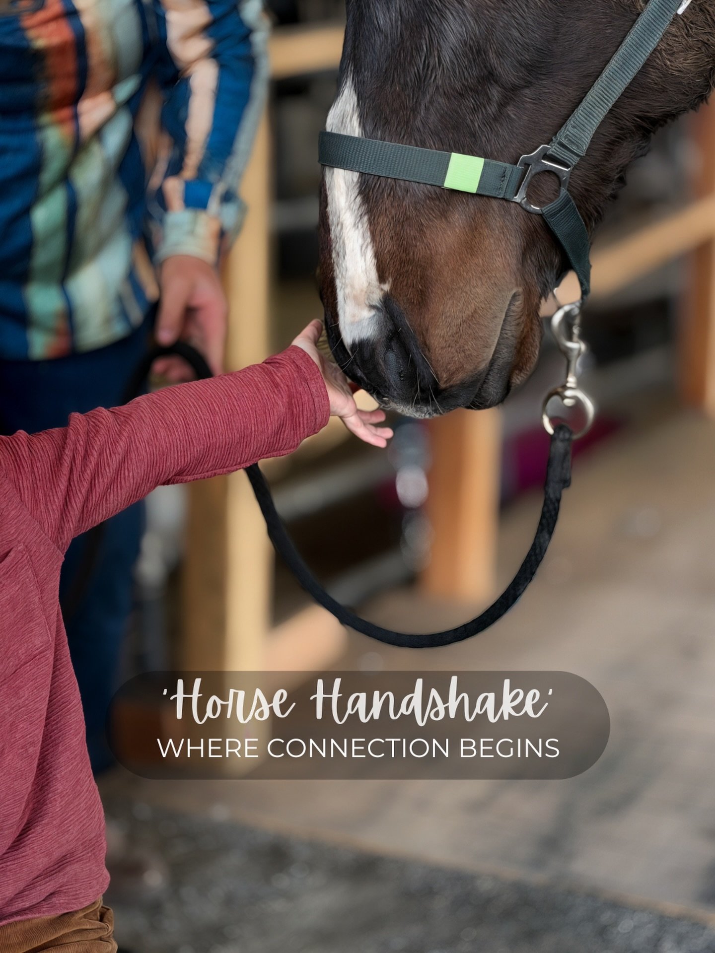 In this simple &lsquo;horse handshake,&rsquo; we practice attunement, consent, and clear communication&mdash;core skills in our equine-assisted sessions. This kind of facilitated groundwork supports nervous system regulation, builds confidence, and l