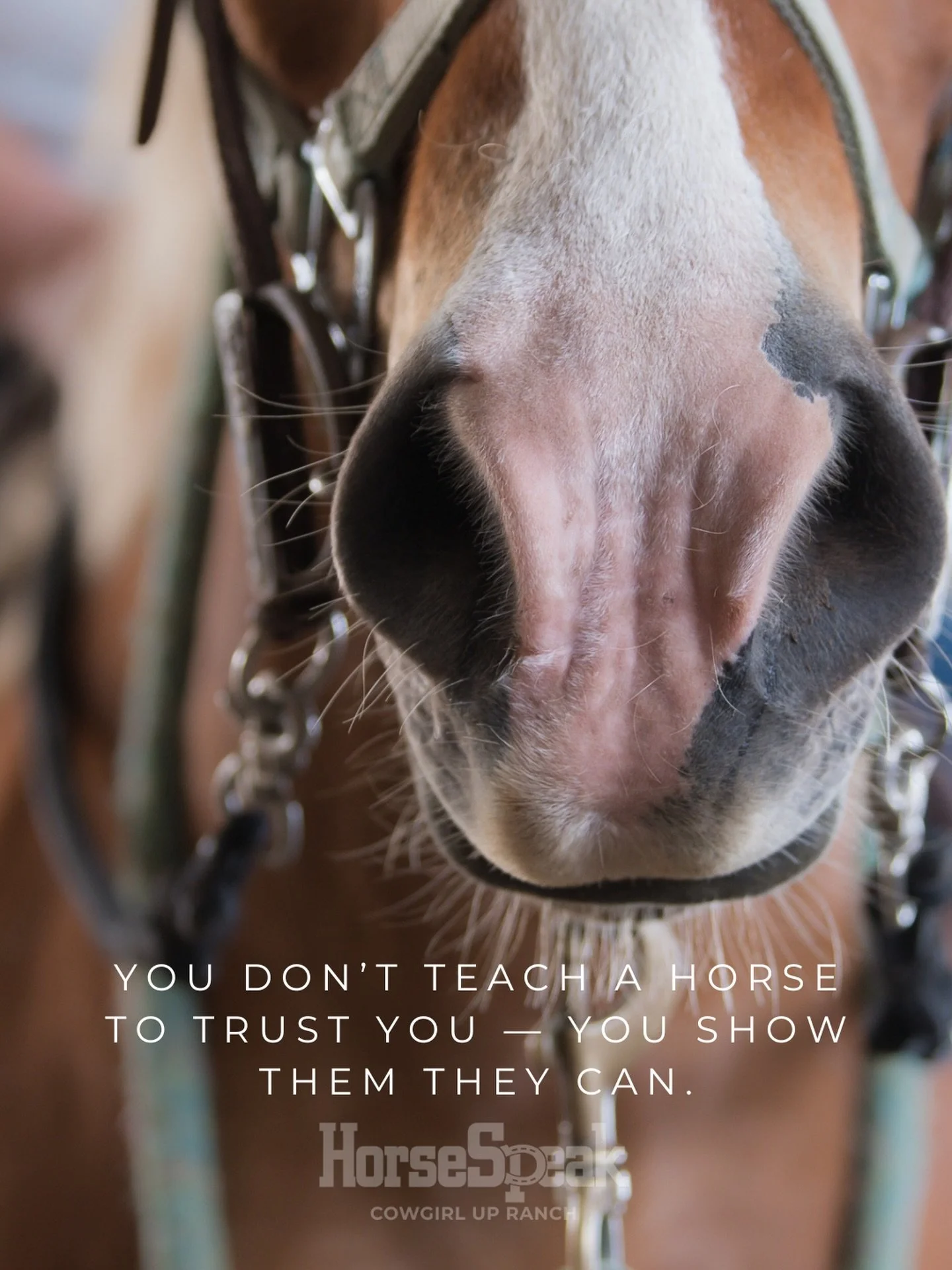 Here, we don&rsquo;t rush trust. We let the horse, the therapist, and the client move at a pace that teaches the nervous system, &lsquo;You get to decide what feels safe.&rsquo;

📸 by Stephanie @ev3r_ranch_co 

#horsespeak #traumainformed #healingwi