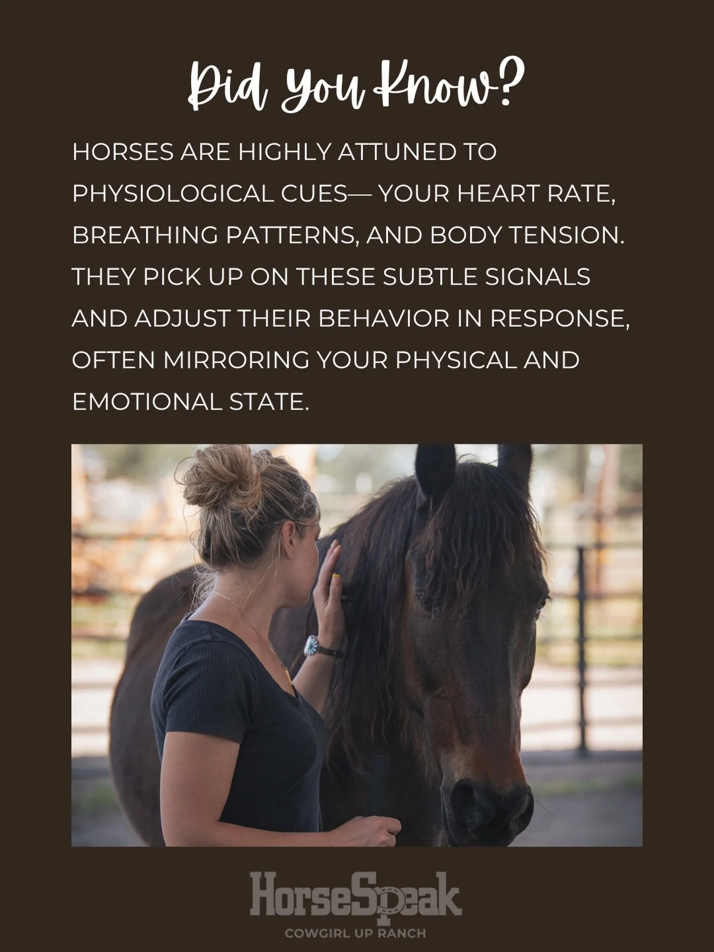 A horse isn&rsquo;t just there&mdash;they&rsquo;re reading you. Your calm, your worry, your joy. That&rsquo;s why equine-assisted therapy works. Horses mirror us back to ourselves, offering a path to deeper self-awareness and healing.

When you show 