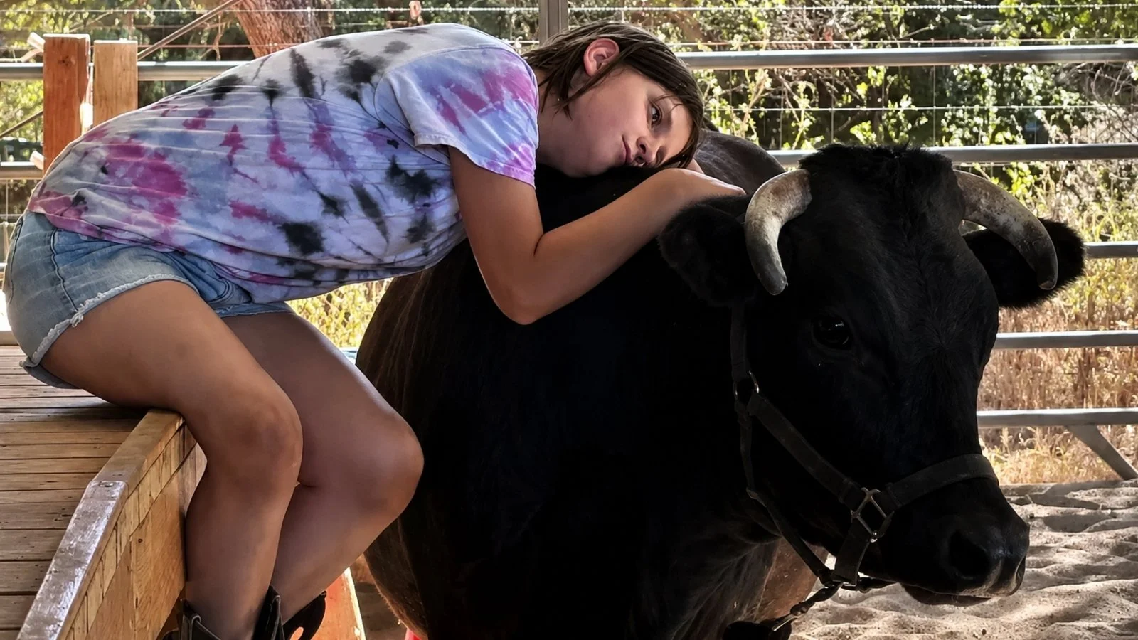 All About Animals — Family Fun Day