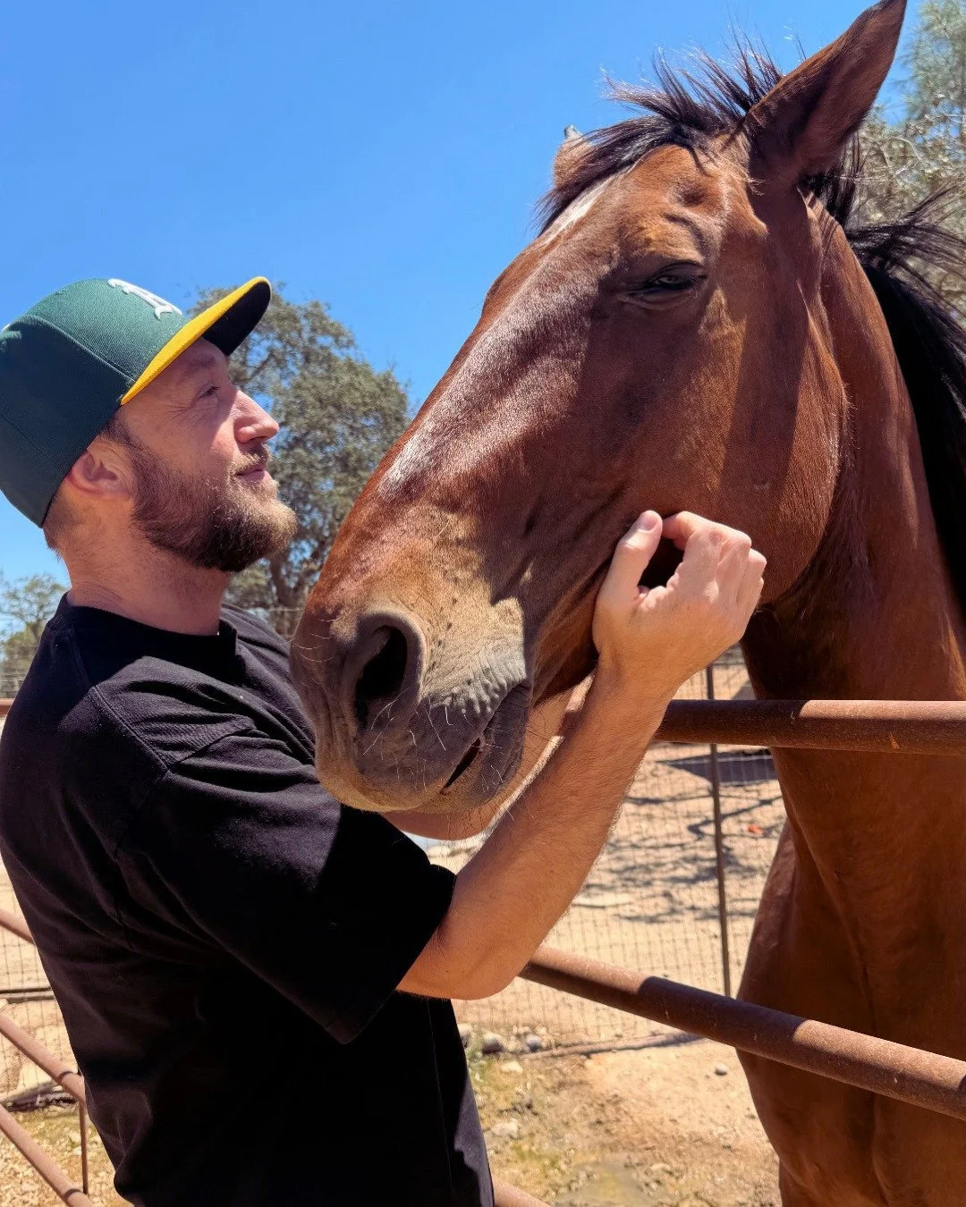 Sometimes you just need to stand with a horse for a while.

No lesson, no plan - just a few quiet minutes at the fence on a warm afternoon. People come out here to be around the horses and leave a little steadier than they arrived.

For our screen re