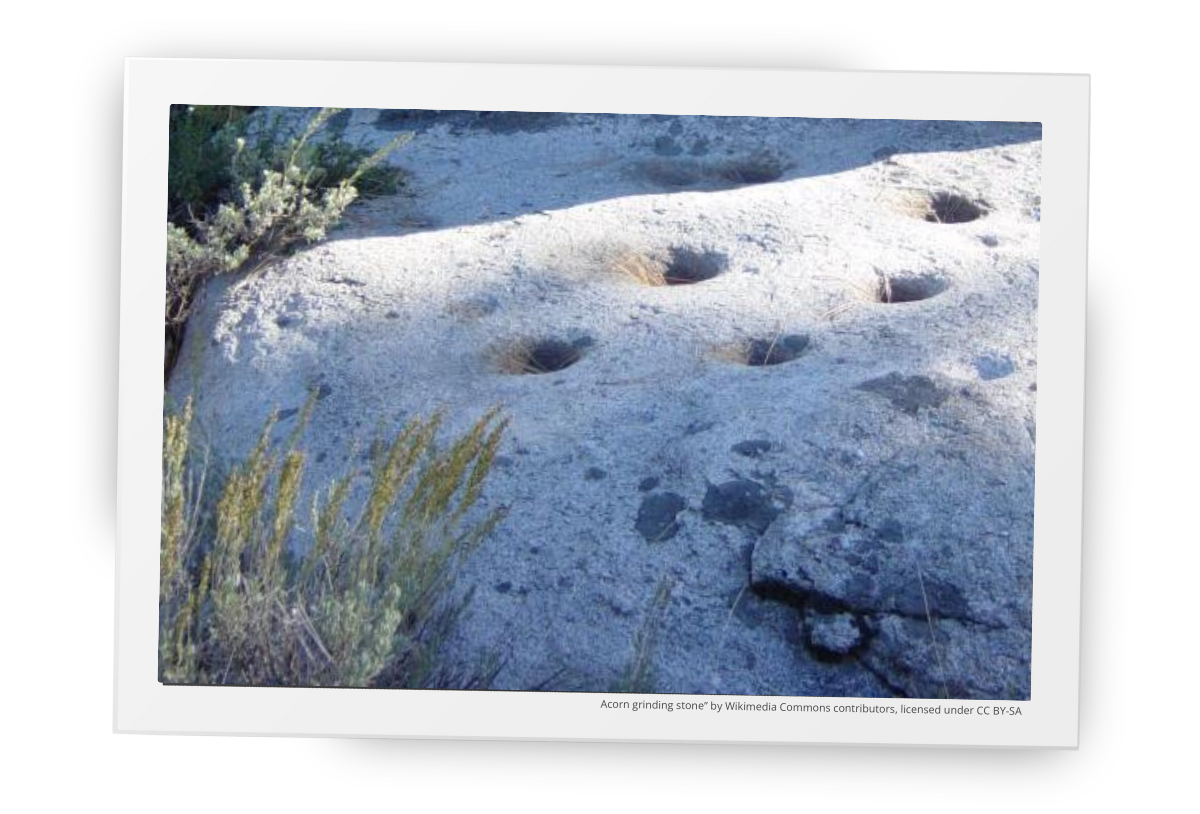 Bedrock grinding stone carved into natural rock, historically used for acorn preparation, photographed in situ in the Burson, California area.