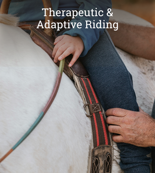 Therapeutic Adaptive Riding HorseSpeak.png