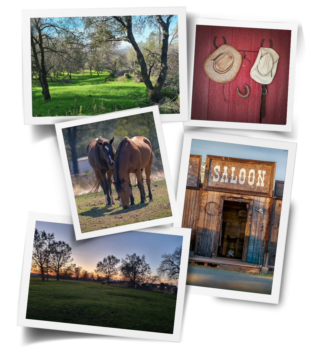 A collage of images from Cowgirl Up Ranch, including horses grazing, open fields, trees at sunset, and rustic ranch buildings, reflecting a calm and grounded setting.