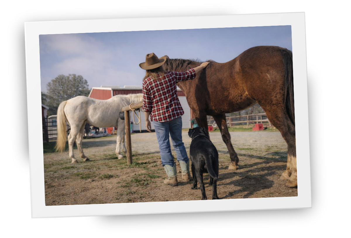 A woman standing with horses at HorseSpeak at Cowgirl Up Ranch, reflecting connection, trust, and calm presence.