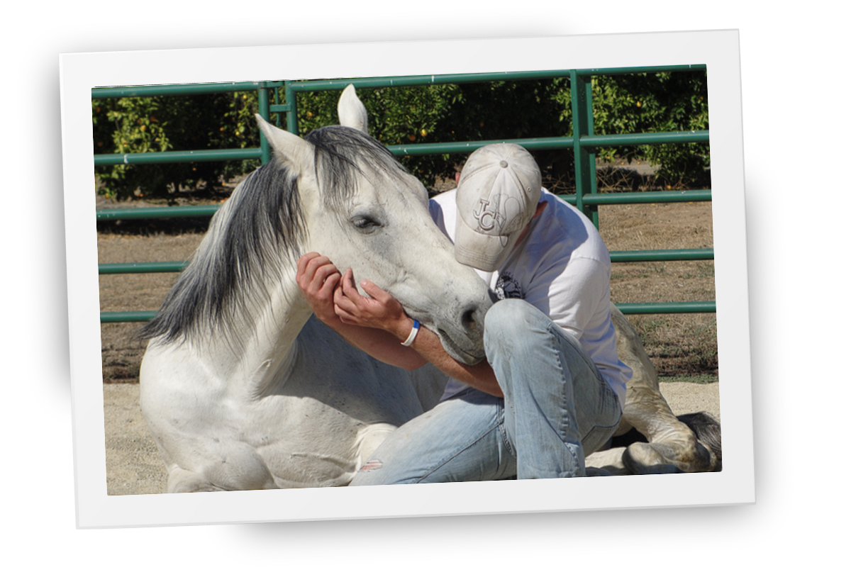 A person sitting quietly beside a relaxed horse at HorseSpeak at Cowgirl Up Ranch, showing calm, supportive connection.