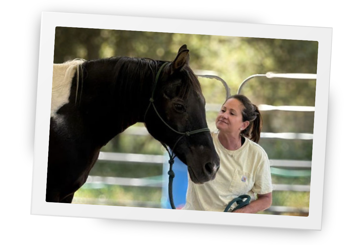 Woman standing quietly with a black horse at HorseSpeak, showing calm connection, trust, and attentive presence between human and animal.