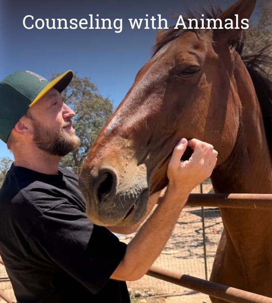 Counselling with Animals Bill and Joe HorseSpeak.png
