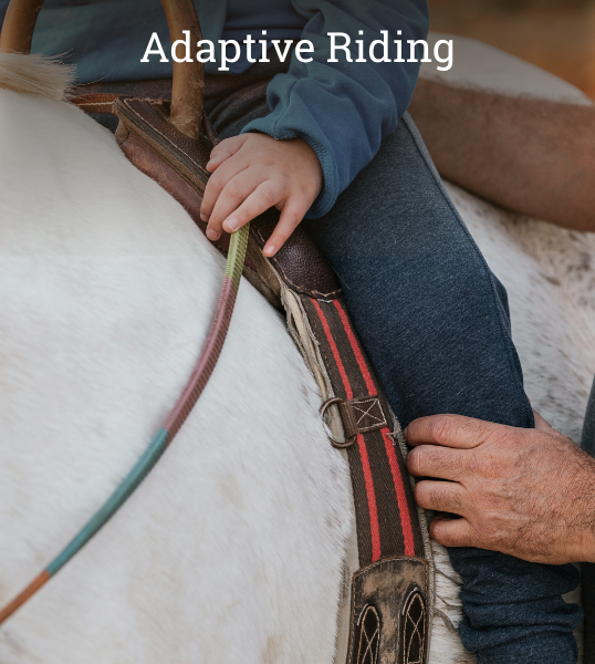 Adaptive Riding HorseSpeak.png
