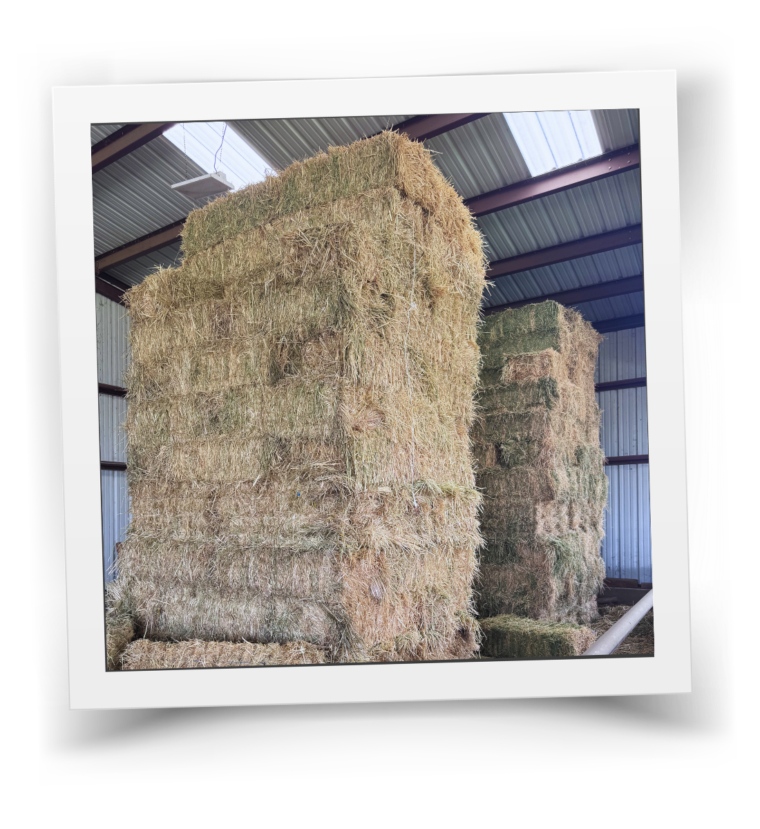 Stacked hay bales stored in a barn at HorseSpeak, representing feed and care for the rescue and therapy herd.