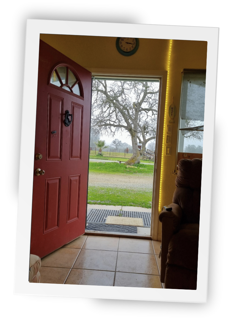 View from the HorseSpeak therapy office looking out an open red door toward green pasture and oak trees at the ranch.