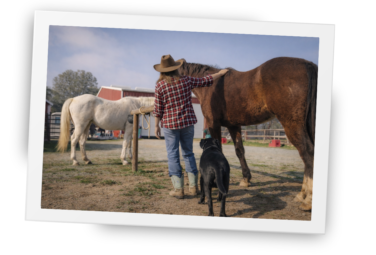 A person standing quietly with horses and a support dog at HorseSpeak, showing calm human–animal connection in a natural ranch setting.