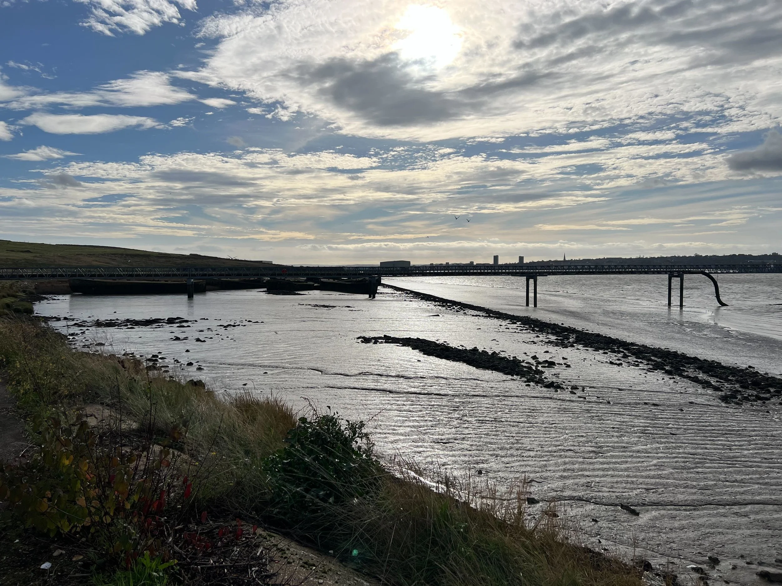 Picture of Thames forshore in Havering