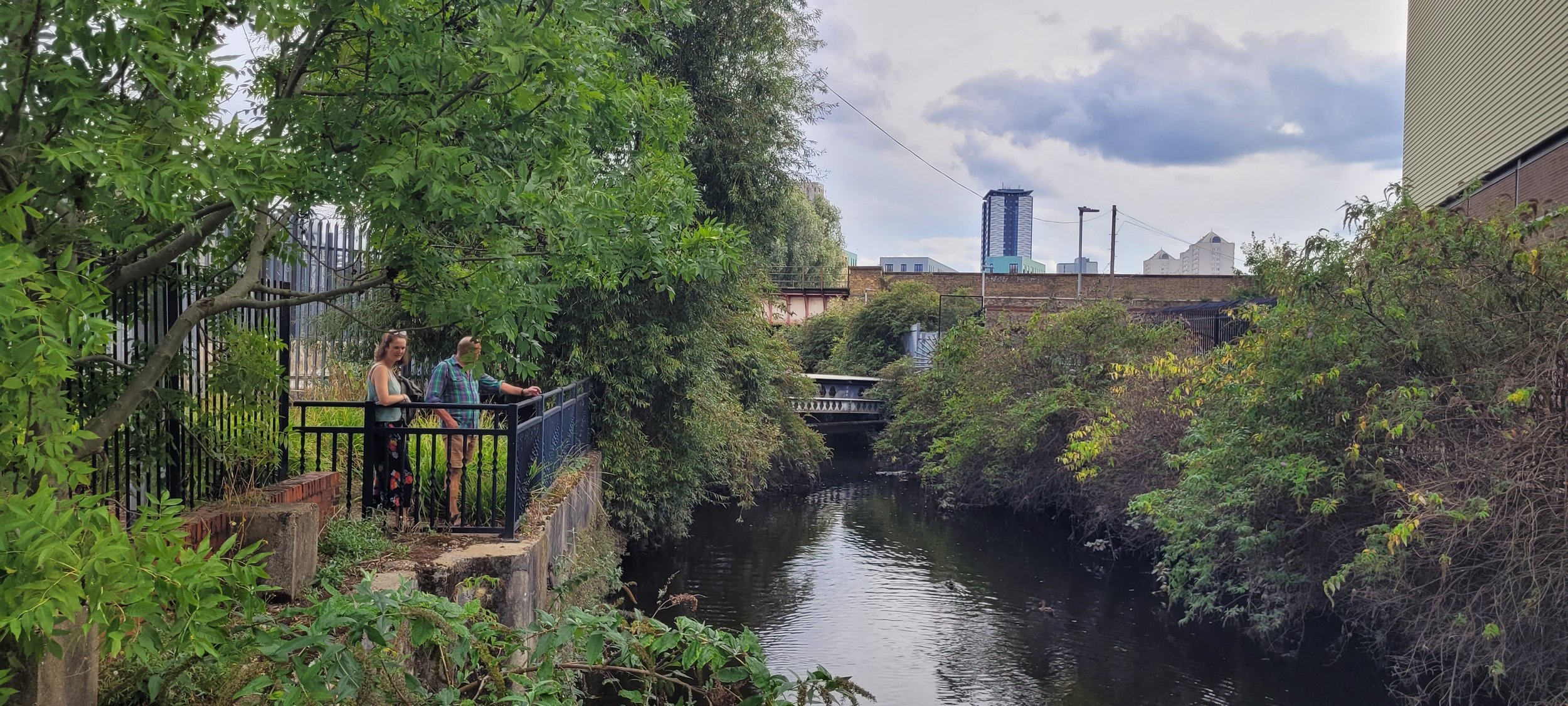 Narrow stream lined with trees and vegetation bridges crossing and a single tower block in the distance