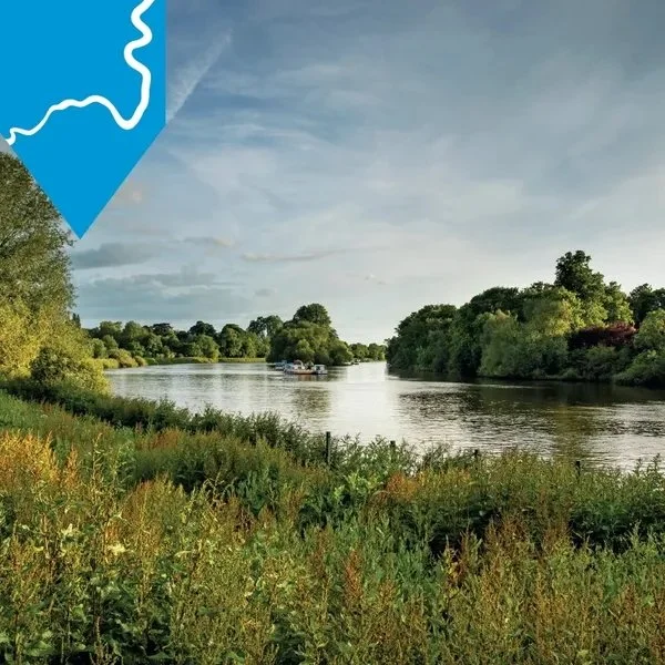 Image of a part of the river on the Thames Landscape Strategy