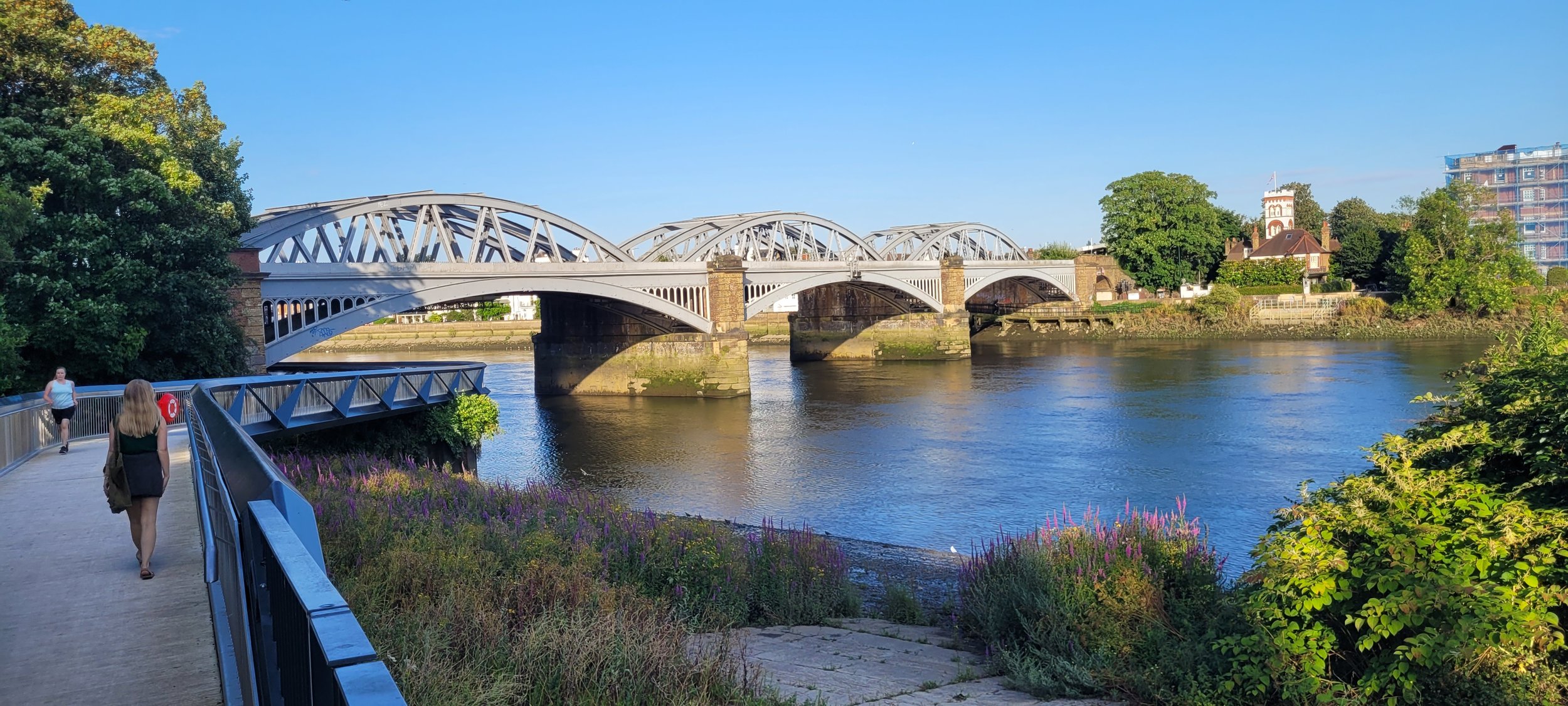image of the ironwork arches of Barnes Bridge over the River Thames with vegetated foreshore in the foreground