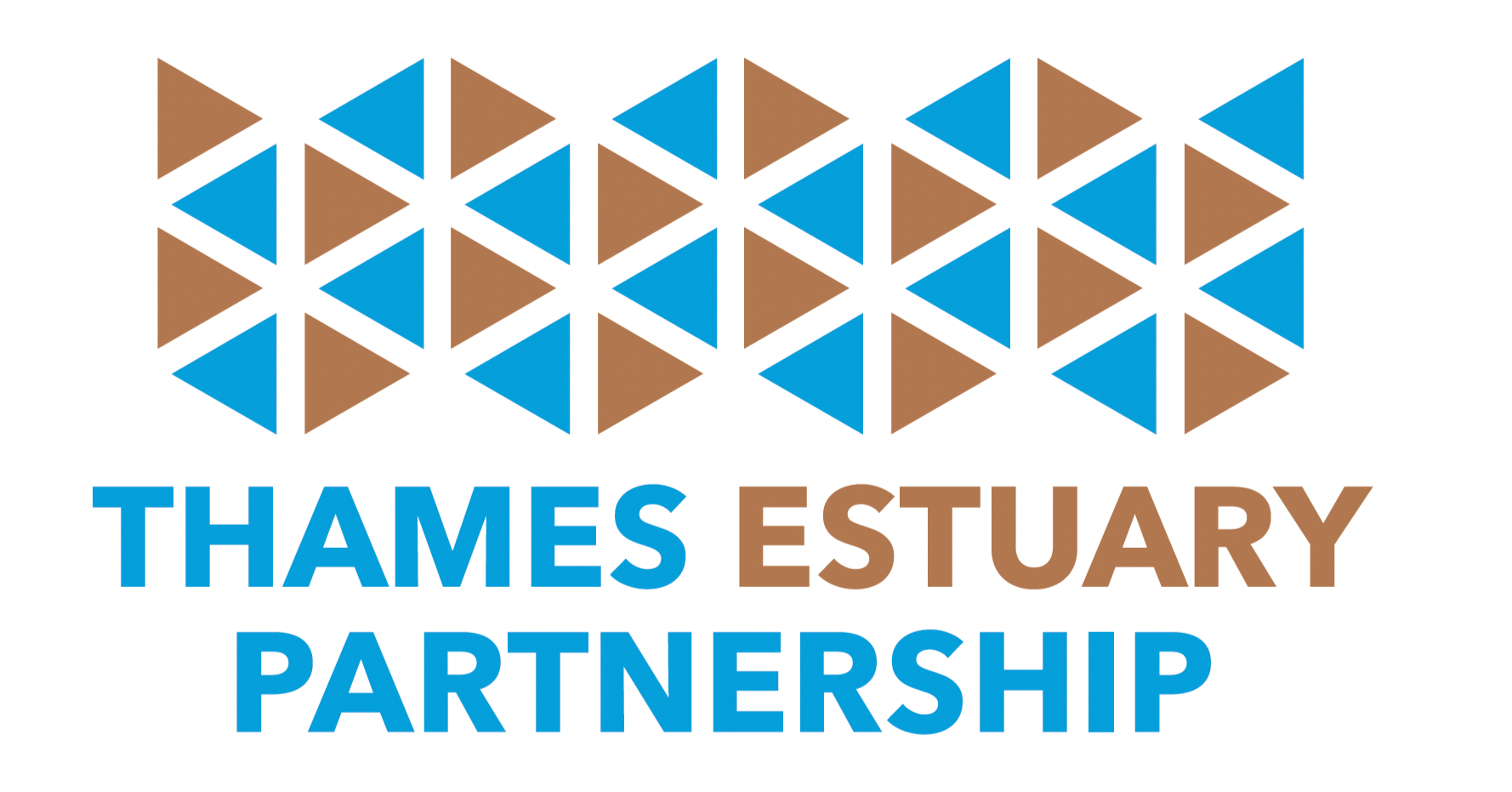 Logo for the Thames Estuary Partnership