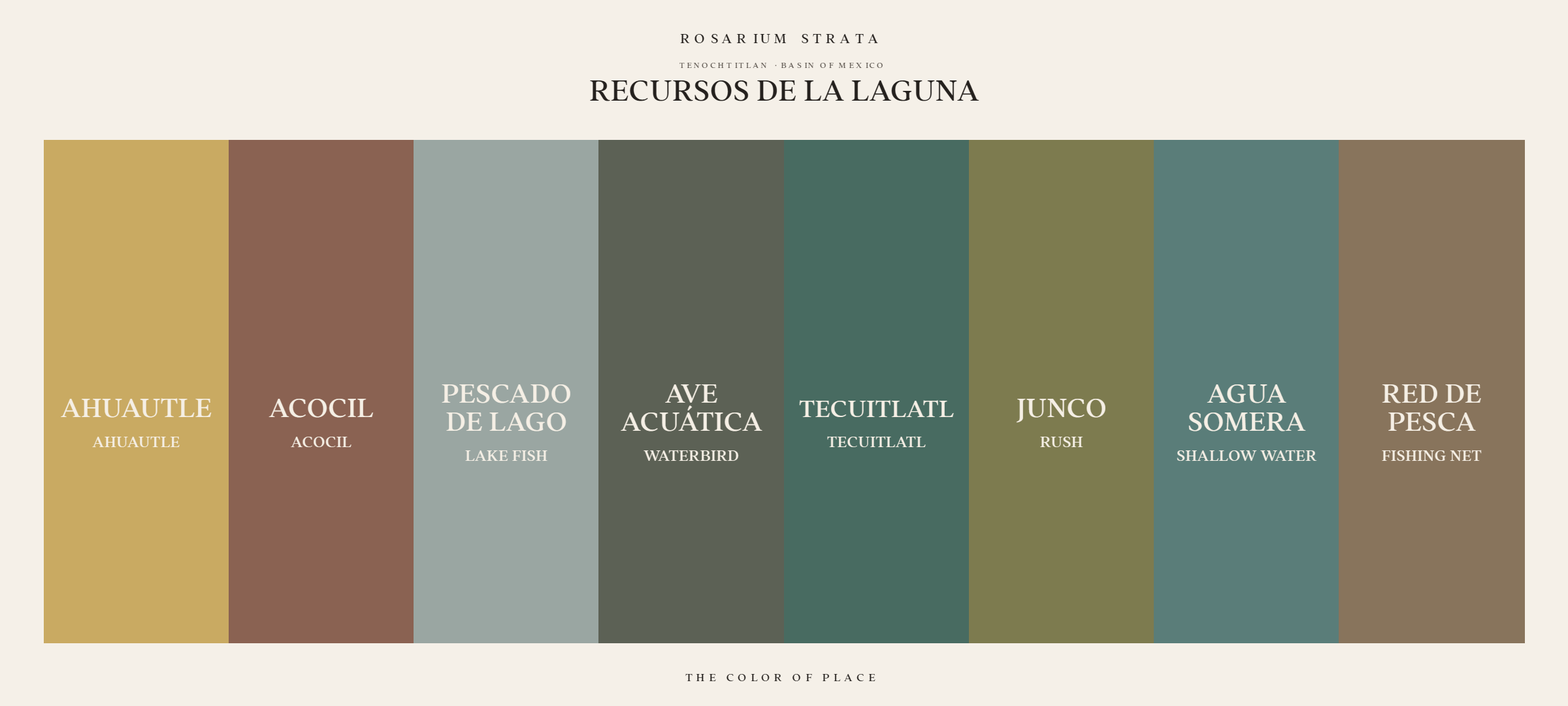 recursos-de-la-laguna_horizontal-palette-card.png