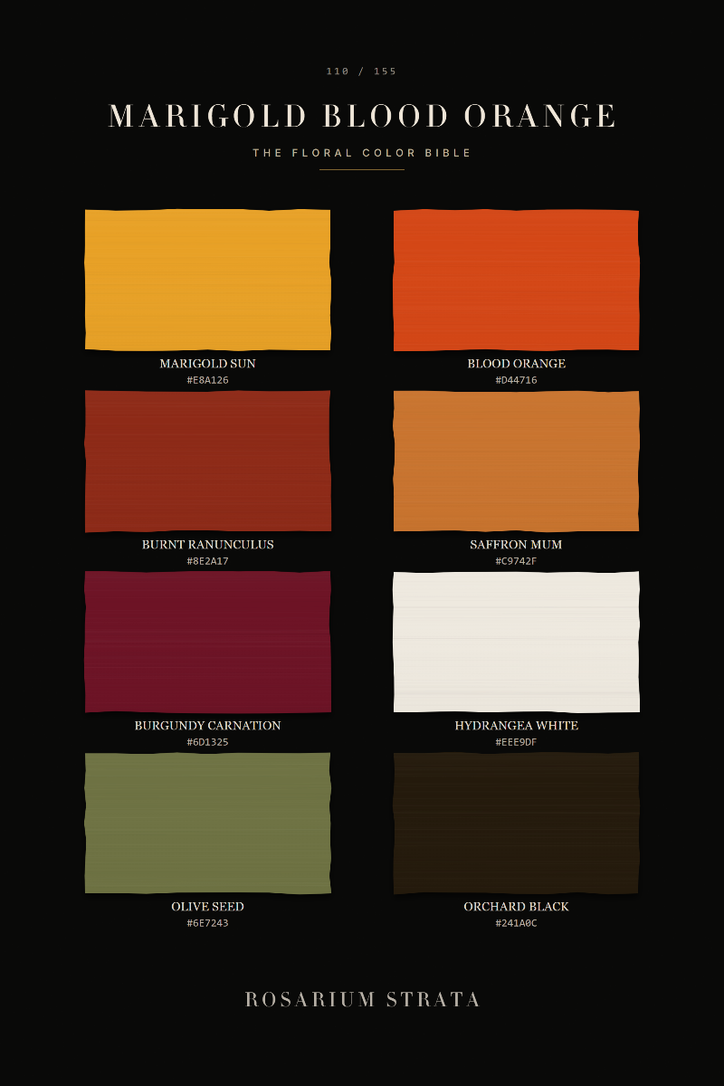 110-marigold-blood-orange-clean.png