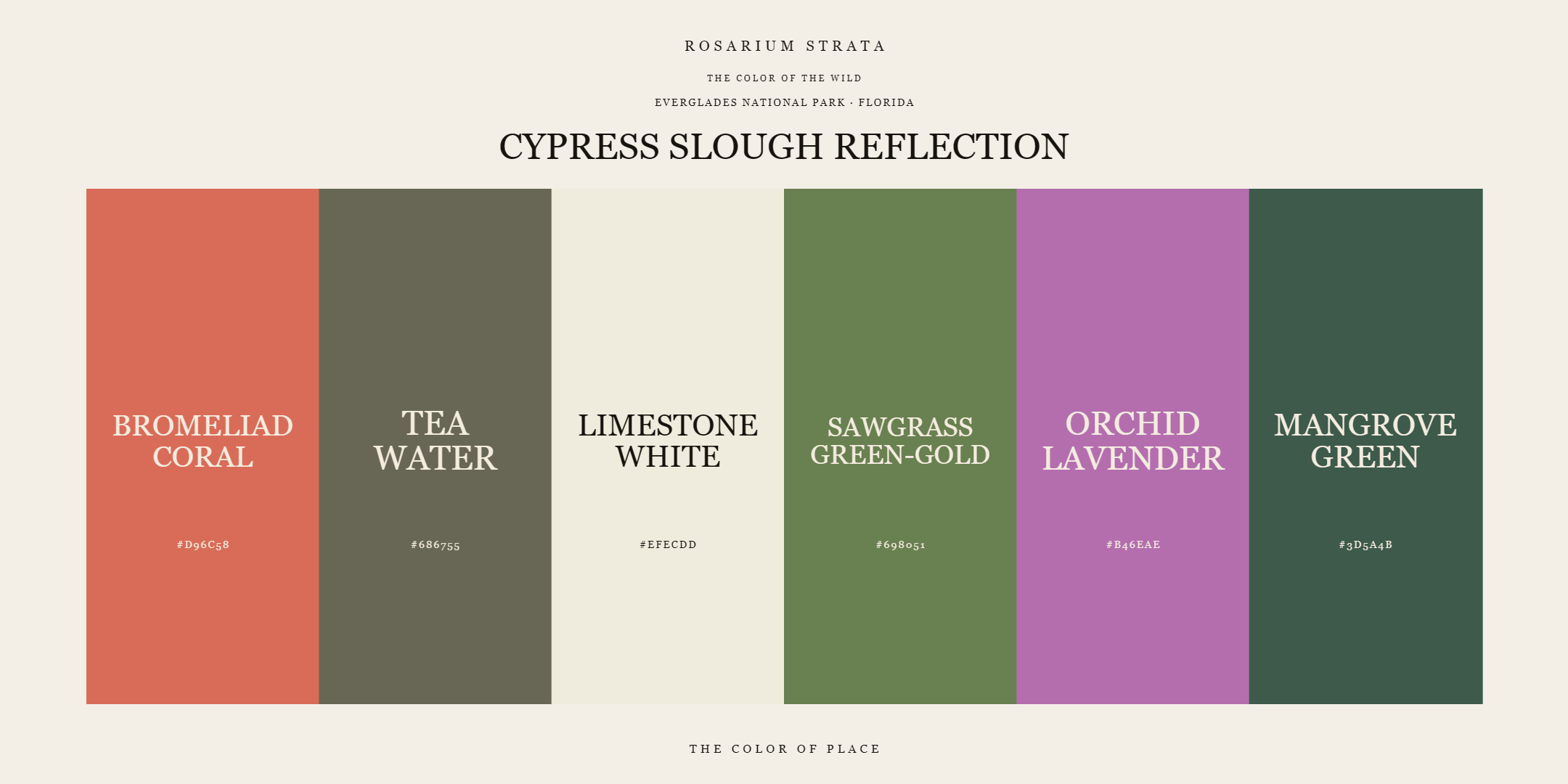 cypress-slough-reflection_editorial.png