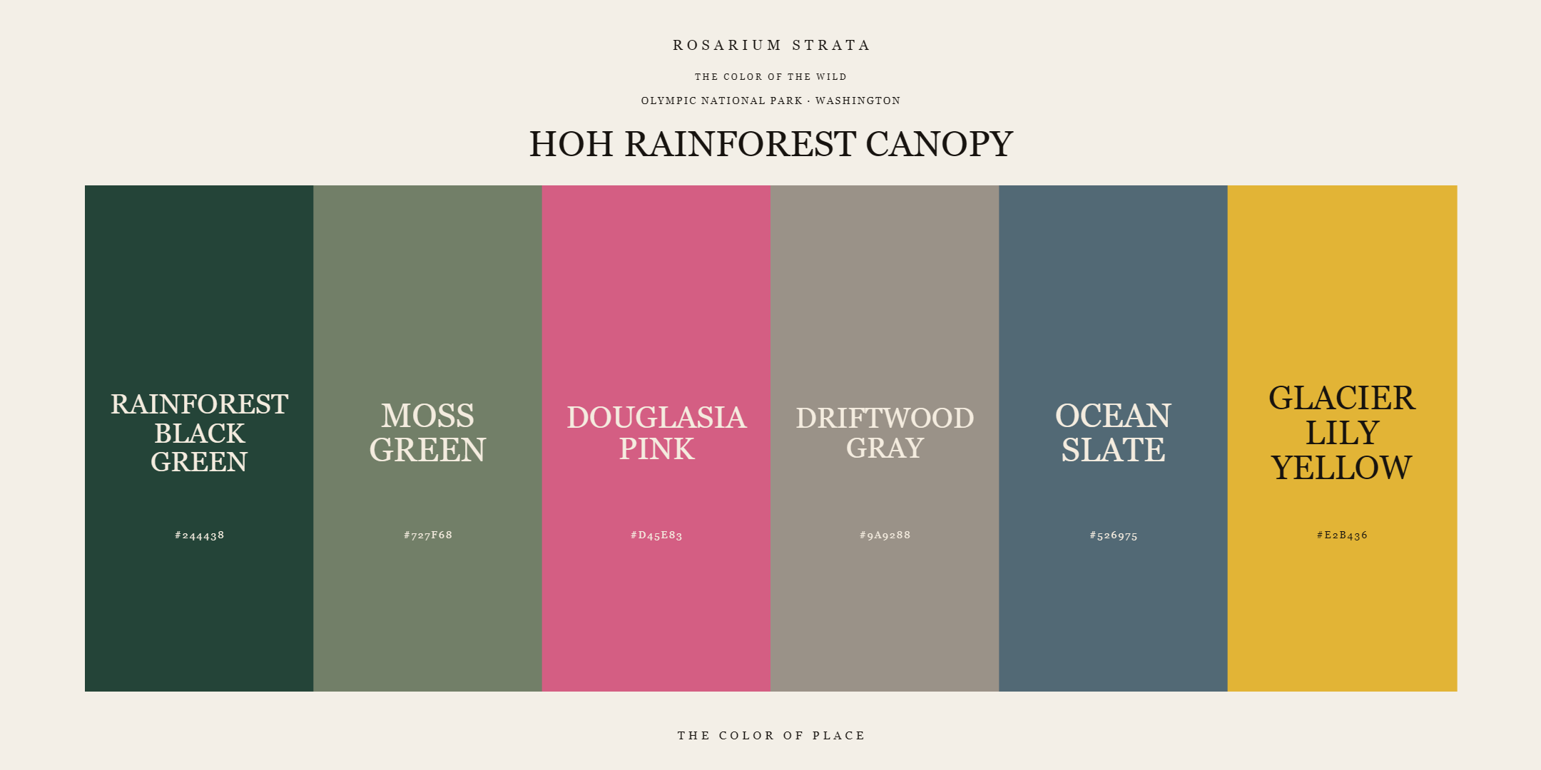 hoh-rainforest-canopy_editorial.png
