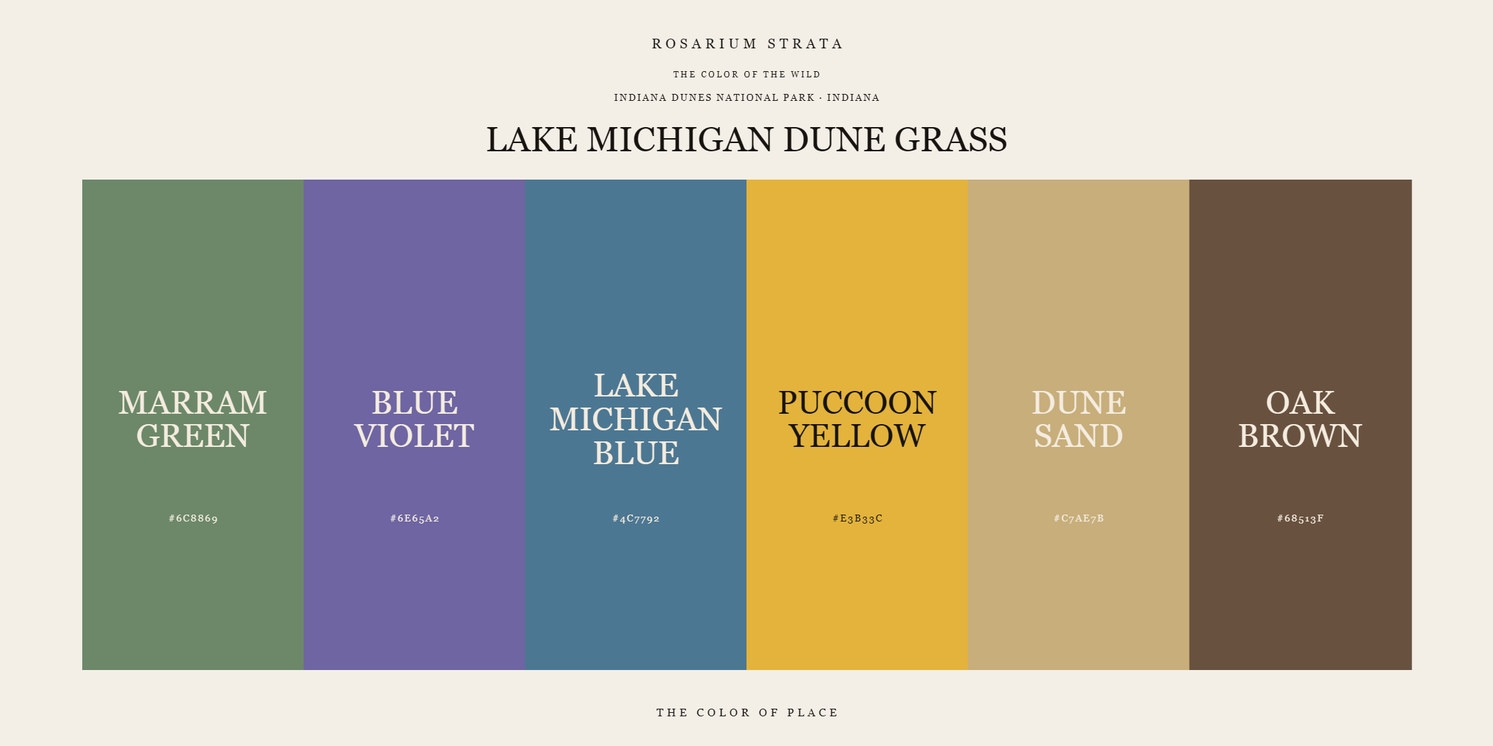 lake-michigan-dune-grass_editorial.png