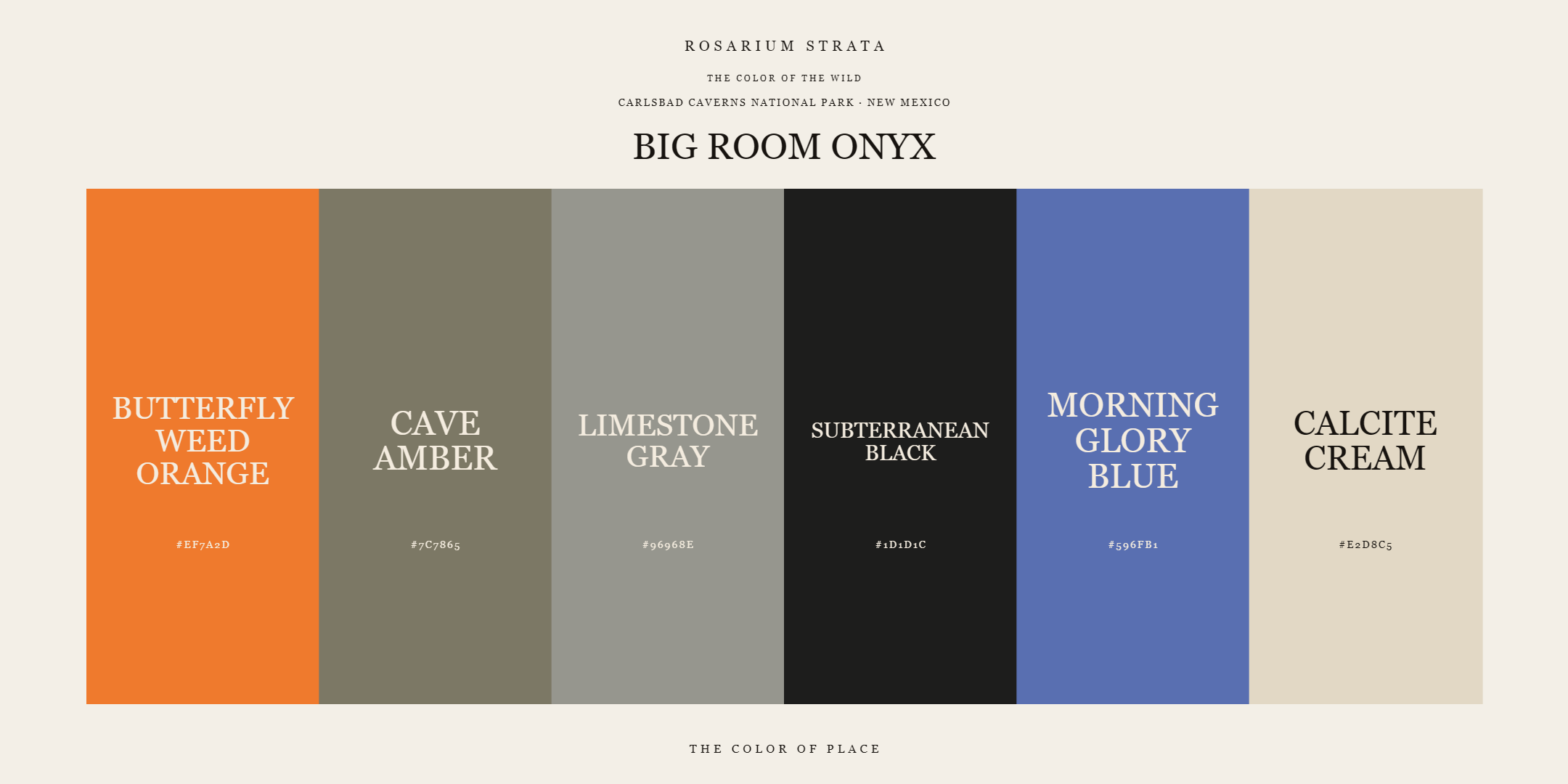 big-room-onyx_editorial.png