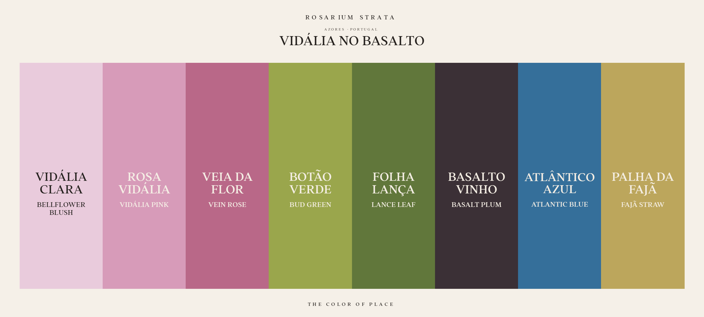 vidalia-no-basalto_horizontal-palette-card.png